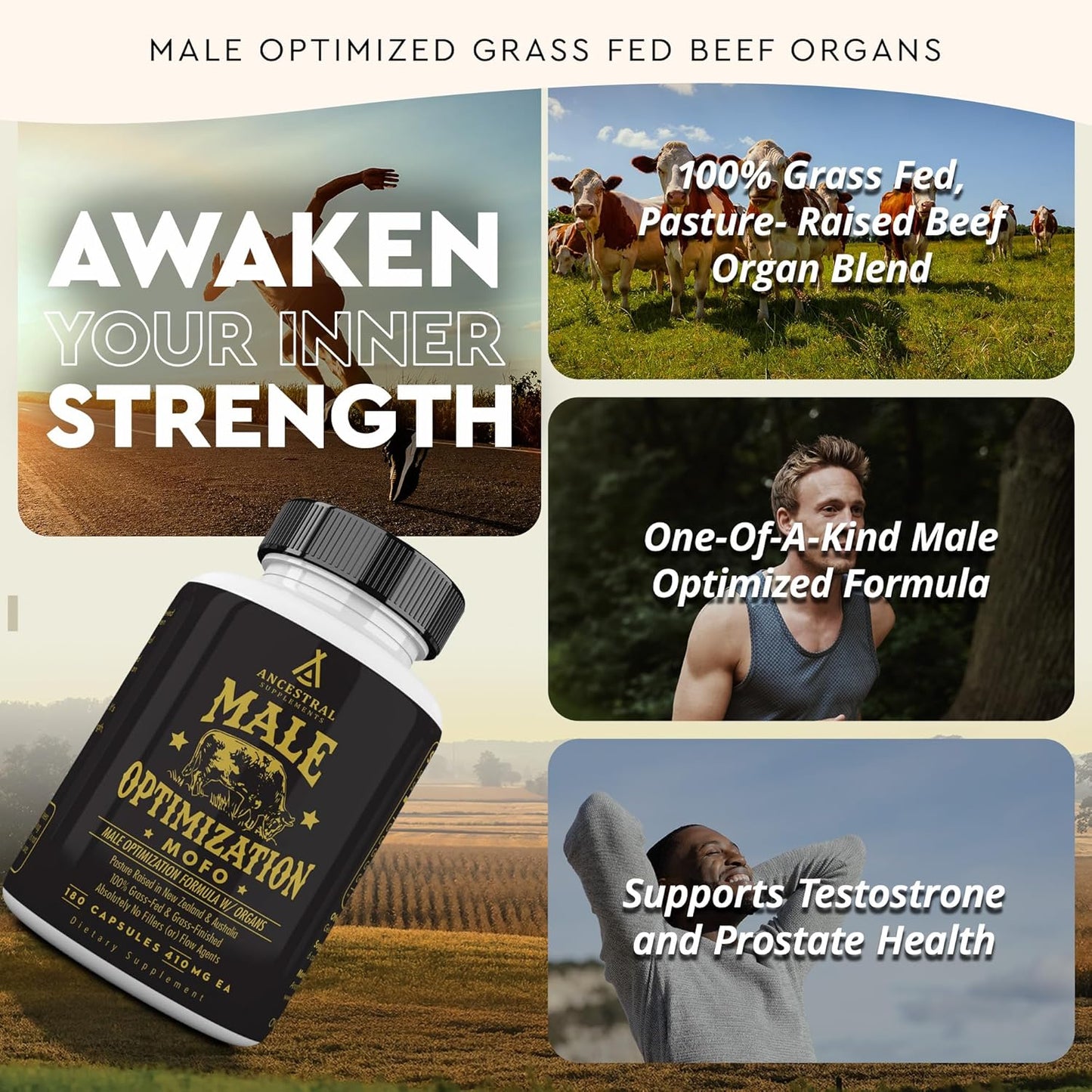 Mofo Men's Health Supplements - Test & Energy Support, Non-GMO Grass Fed Organ Capsules