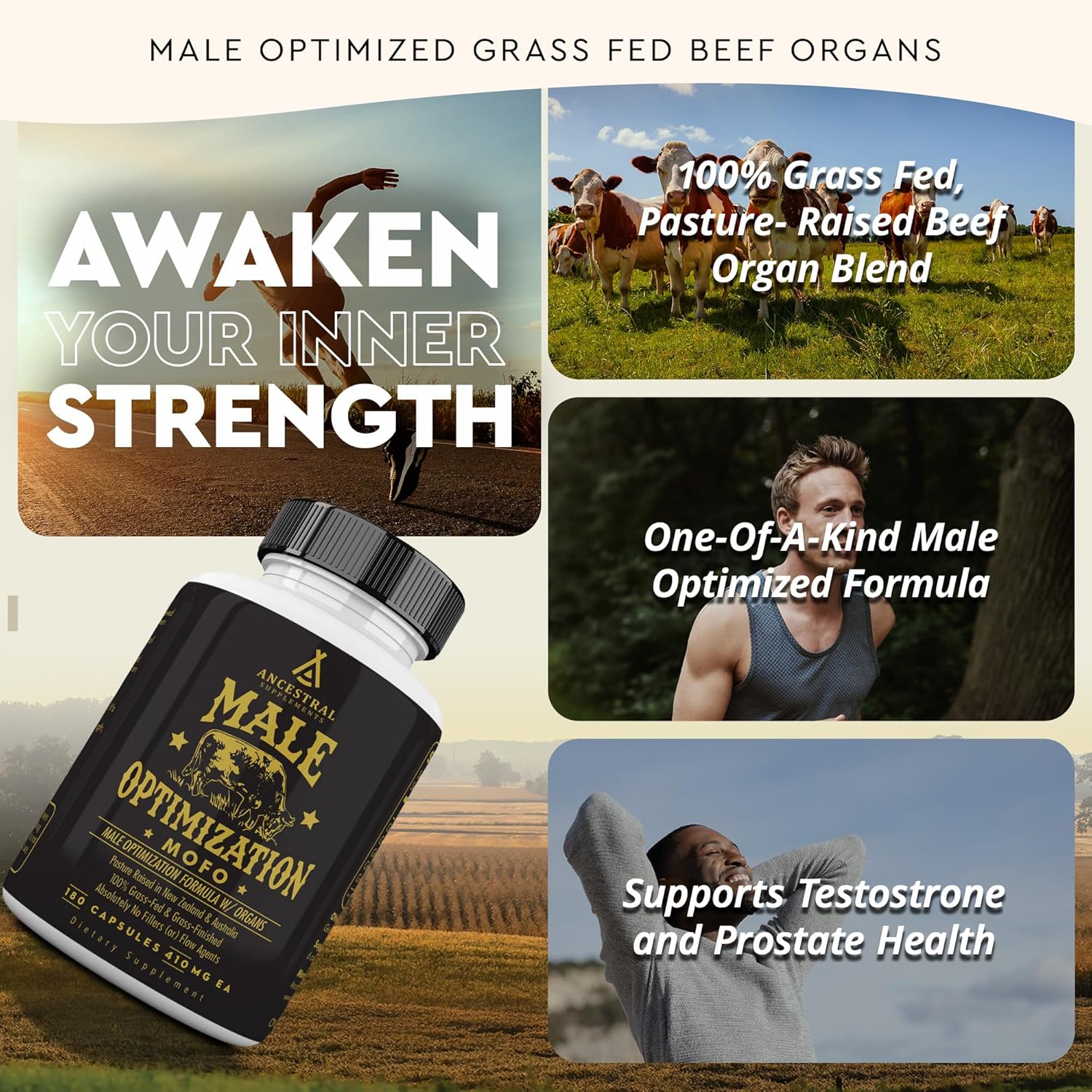 Mofo Men's Health Supplements - Test & Energy Support, Non-GMO Grass Fed Organ Capsules