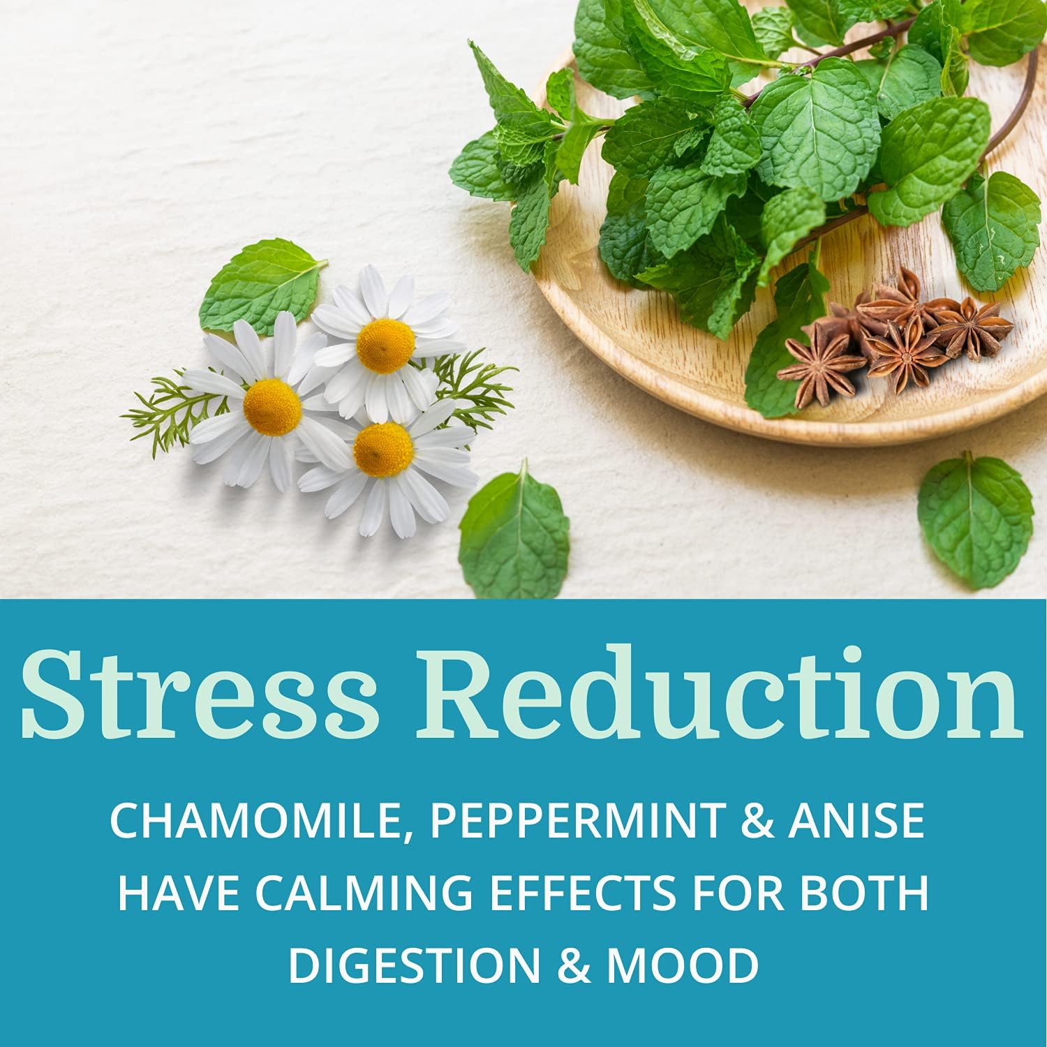 Morter HealthSystem Alka•Pan (12 Pack) Natural Pancreatic Enzymes Supplement with Antioxidant-Rich Superfoods & Digestive Herbs