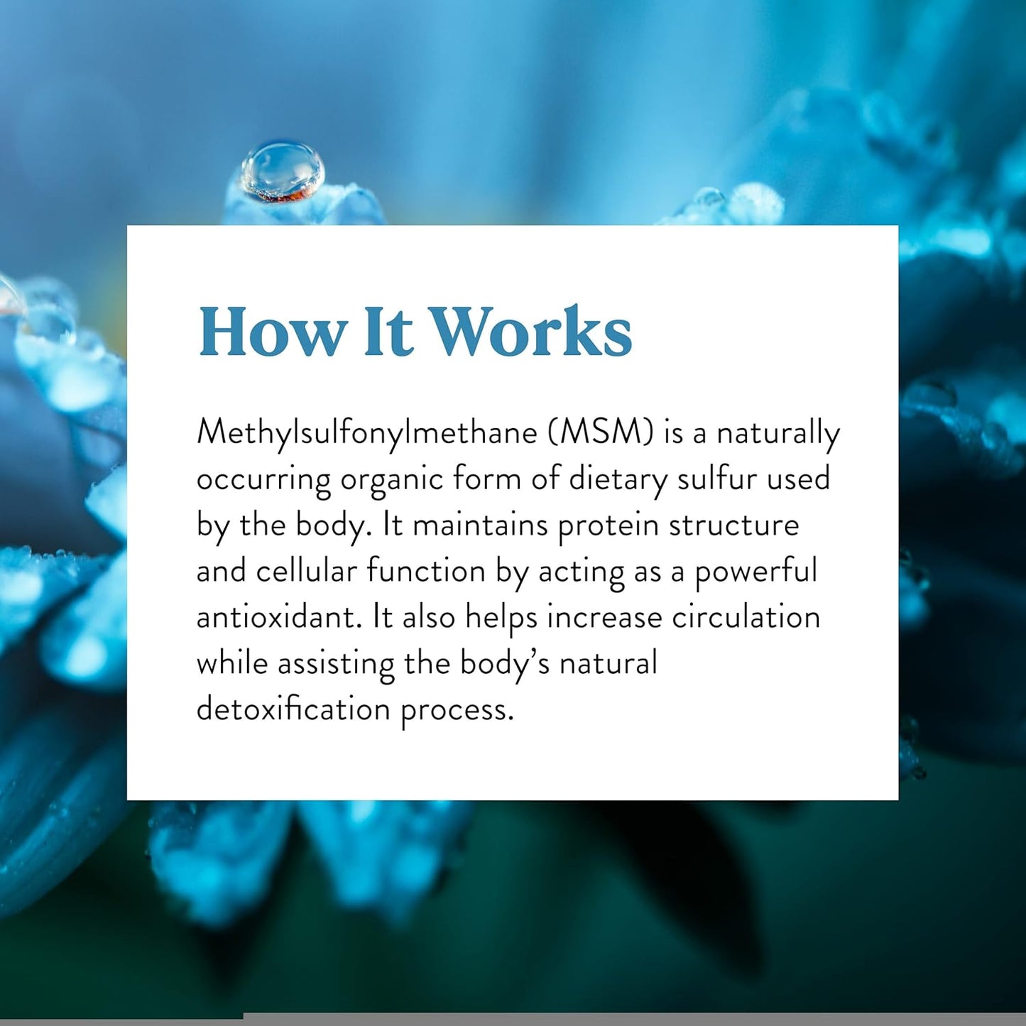 MSM 90 Tablets by Nature's Sunshine - Joint Support and Muscle Recovery Supplement