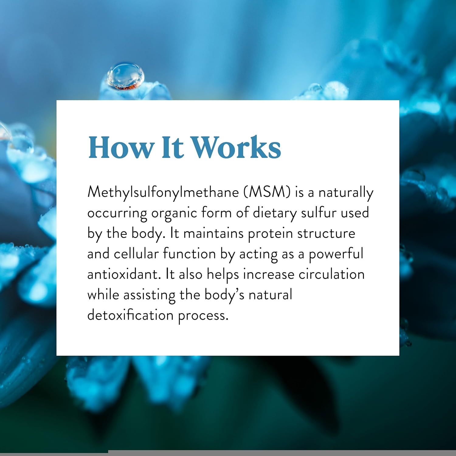 MSM 90 Tablets by Nature's Sunshine - Joint Support and Muscle Recovery Supplement
