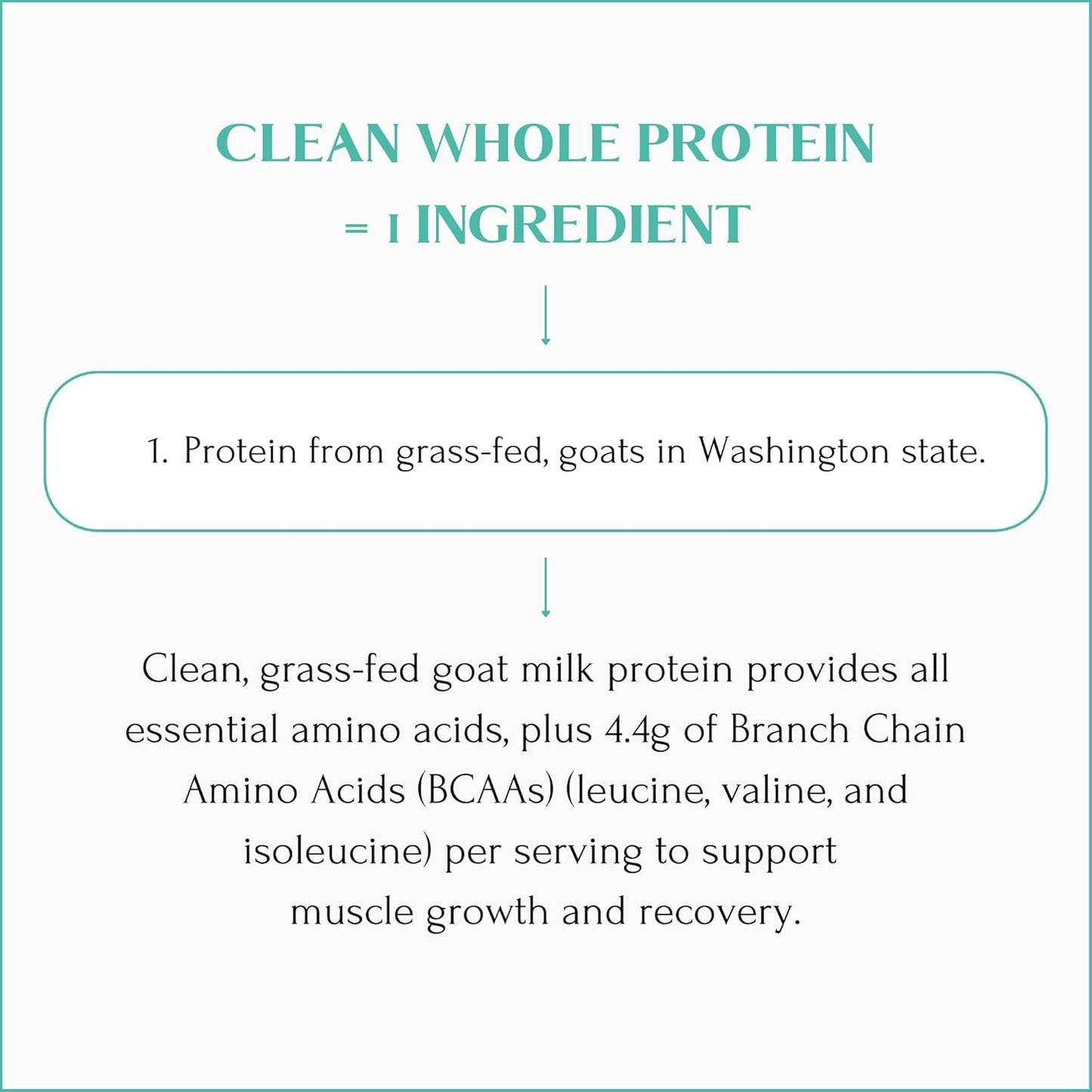 Mt Capra Clean Whole Protein Blend - Grass-Fed Goat Protein with Whey & Casein, 20g Protein per Serving, Muscle Building, No Bloating, 13 Servings, 400g