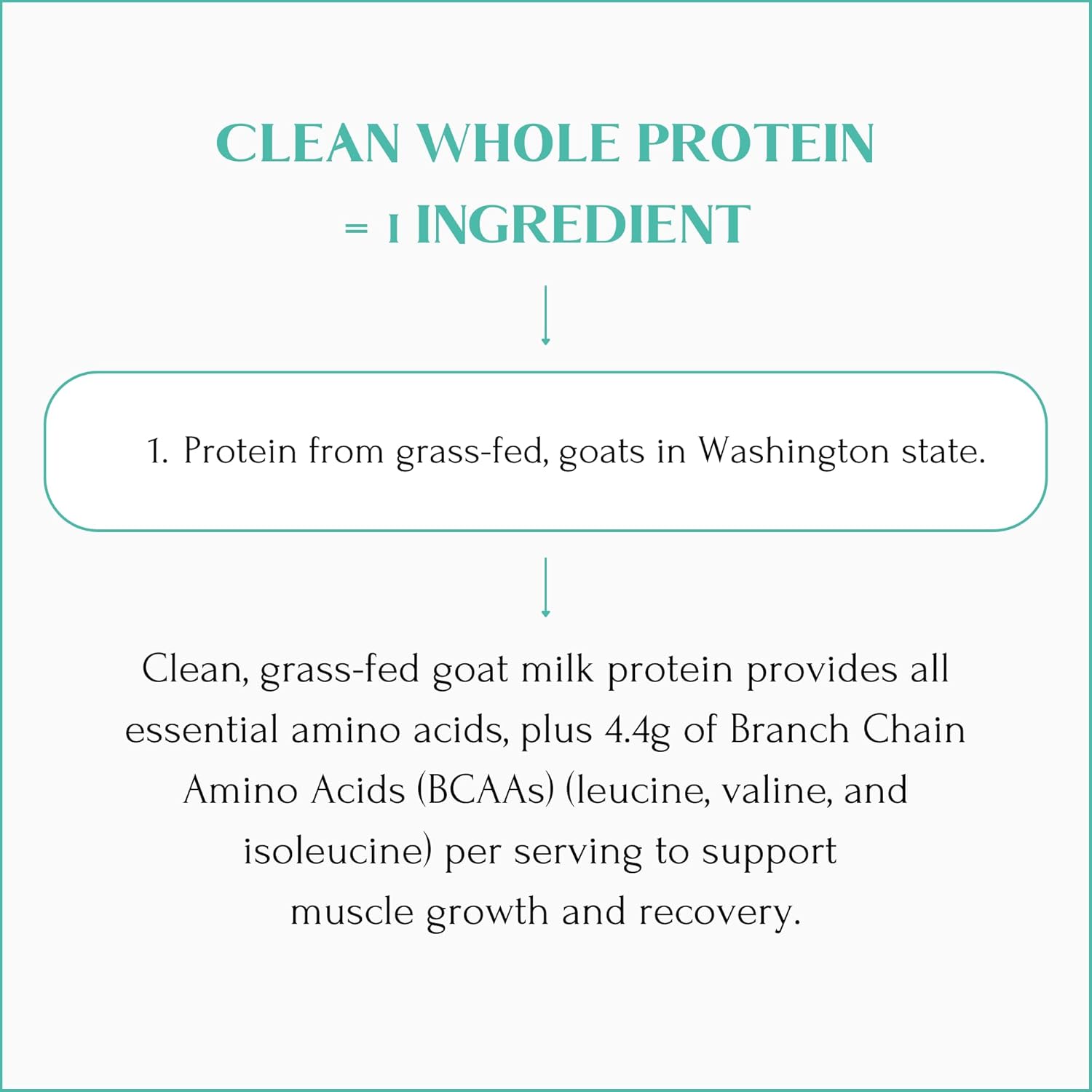 Mt Capra Clean Whole Protein Blend - Grass-Fed Goat Protein with Whey & Casein, 20g Protein per Serving, Muscle Building, No Bloating, 13 Servings, 400g