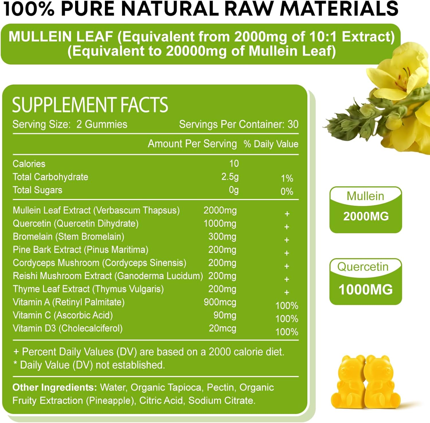Mullein Gummies 2 Pack - 10 in 1 Lung Support with Quercetin, Pineapple Flavor - 120 Count