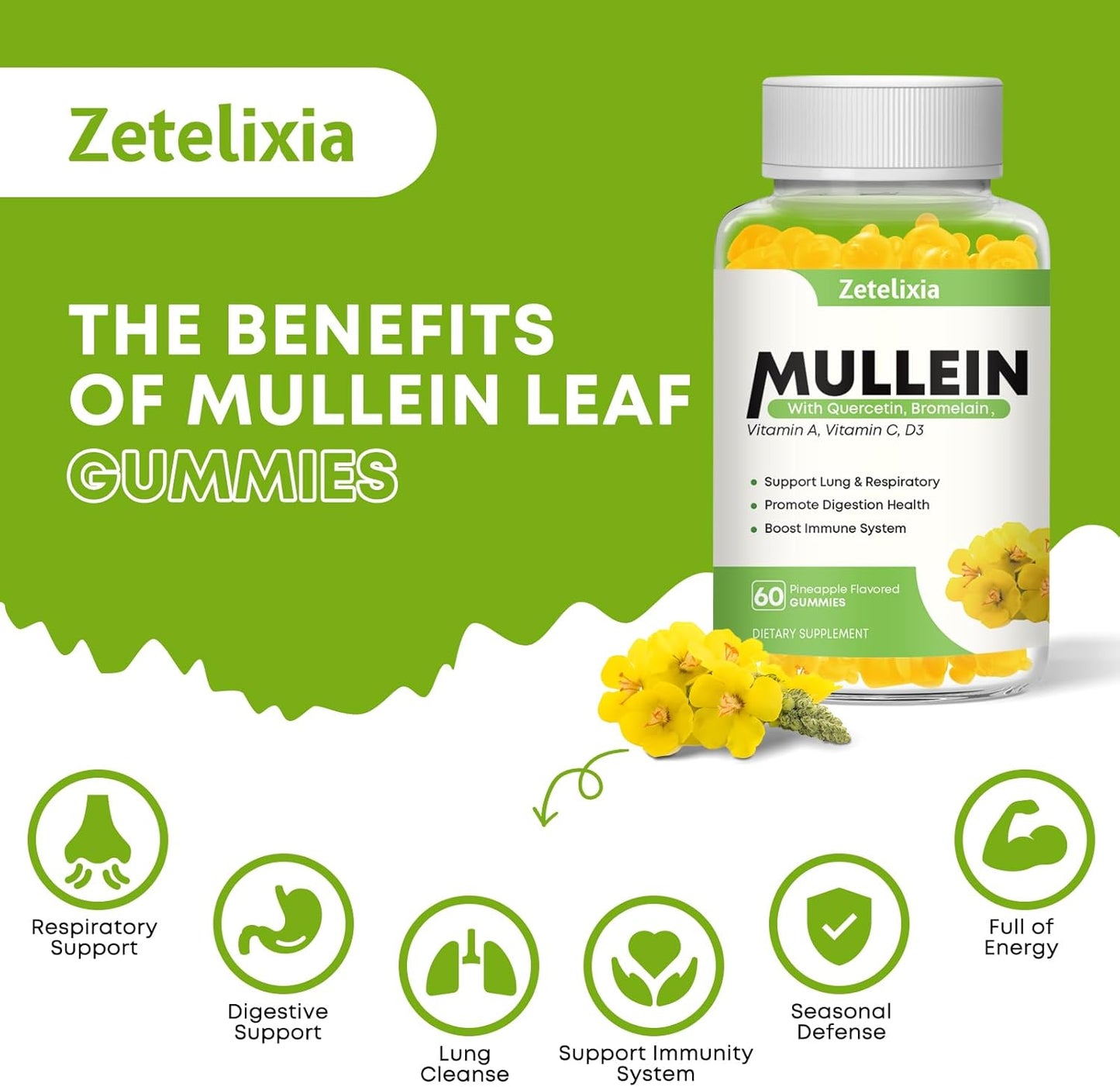 Mullein Gummies 2 Pack - 10 in 1 Lung Support with Quercetin, Pineapple Flavor - 120 Count