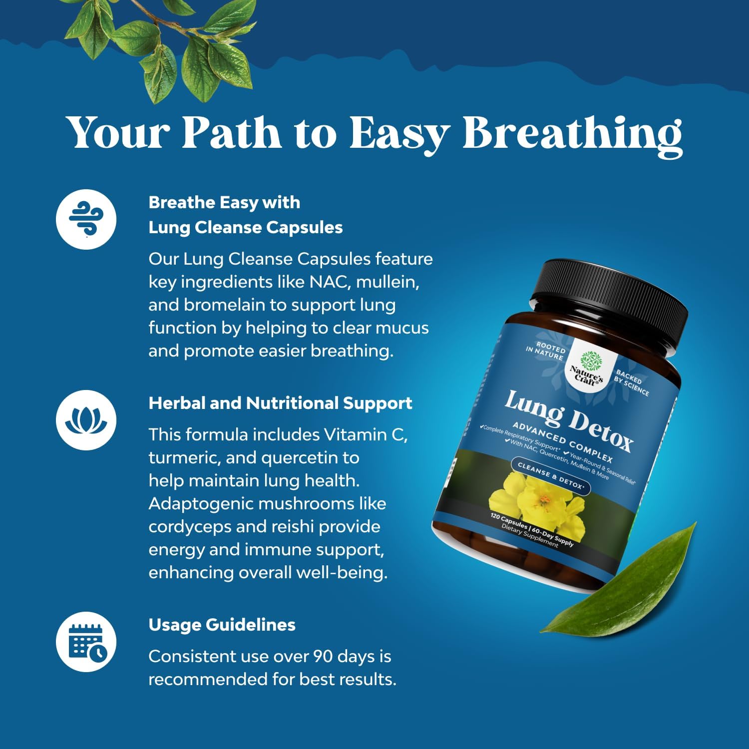 Mullein Leaf Lung Detox Capsules with NAC, Quercetin, and Cordyceps Extracts - Respiratory Support Supplement for Sinus Health and Immunity