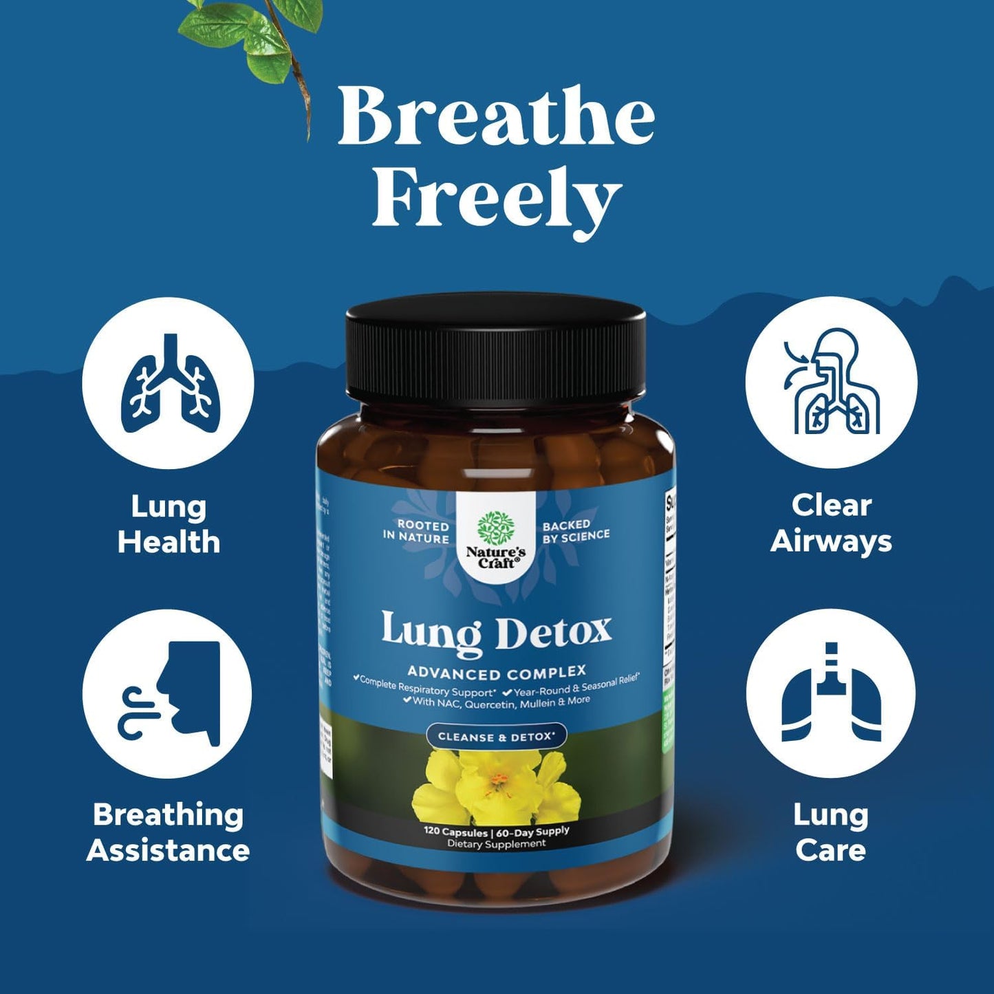 Mullein Leaf Lung Detox Capsules with NAC, Quercetin, and Cordyceps Extracts - Respiratory Support Supplement for Sinus Health and Immunity
