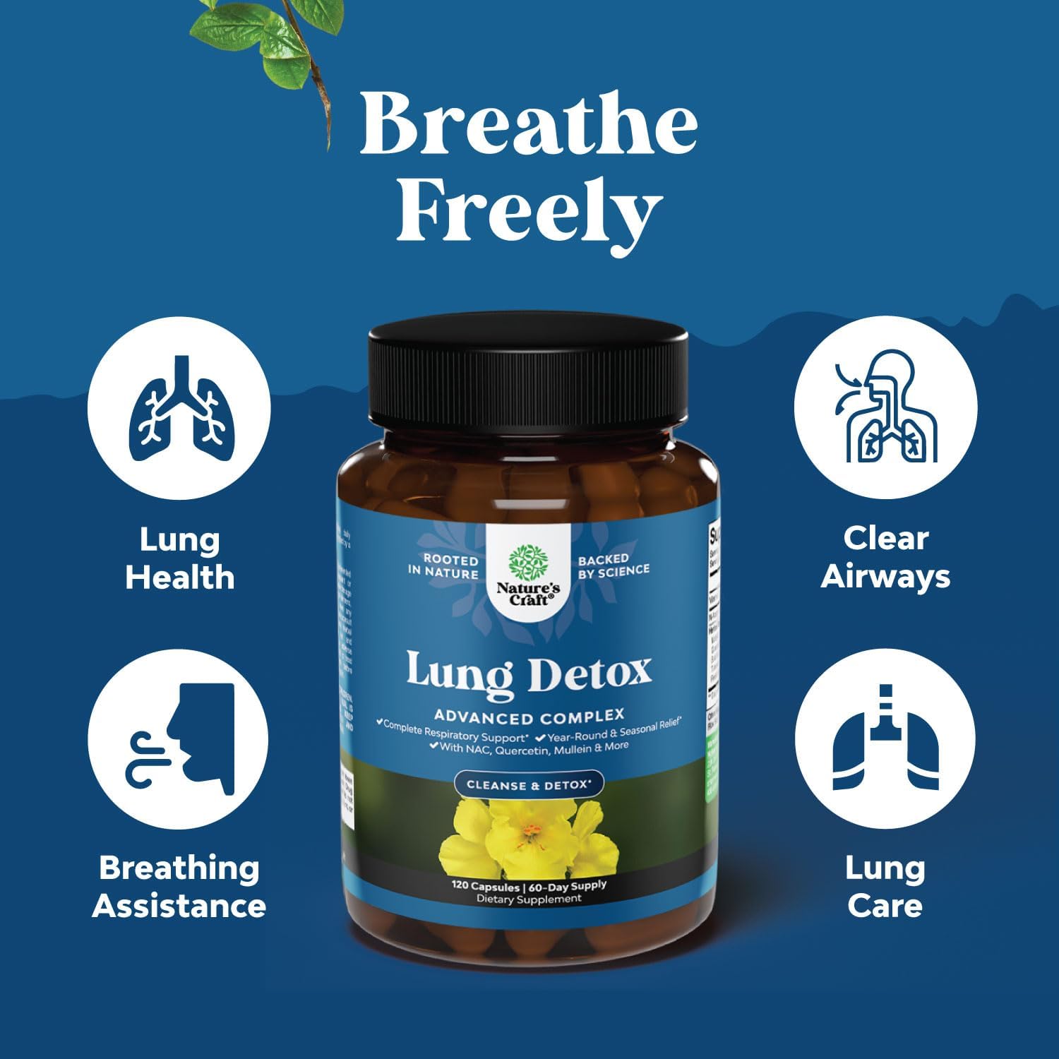 Mullein Leaf Lung Detox Capsules with NAC, Quercetin, and Cordyceps Extracts - Respiratory Support Supplement for Sinus Health and Immunity