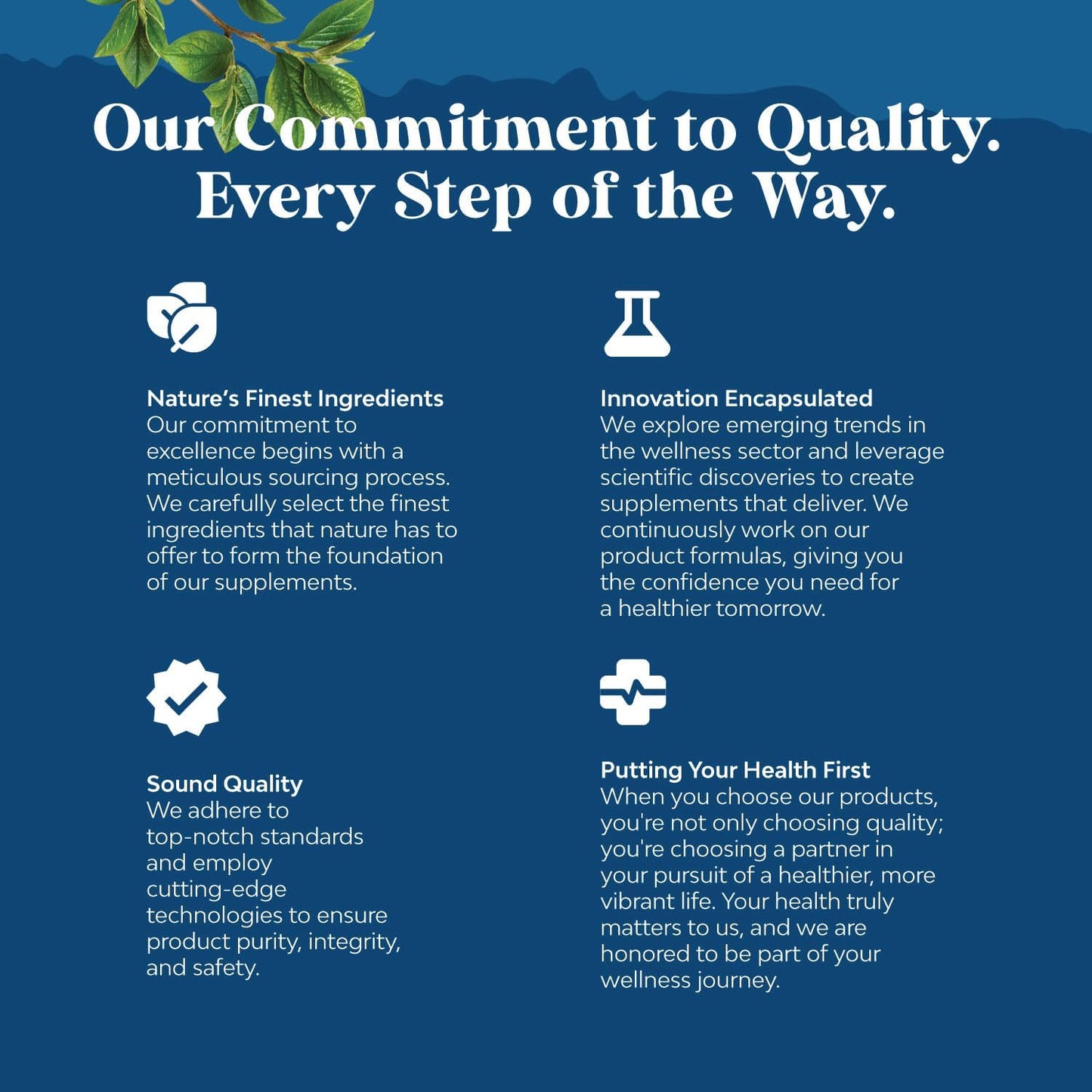 Mullein Leaf Lung Detox Capsules with NAC, Quercetin, and Cordyceps Extracts - Respiratory Support Supplement for Sinus Health and Immunity