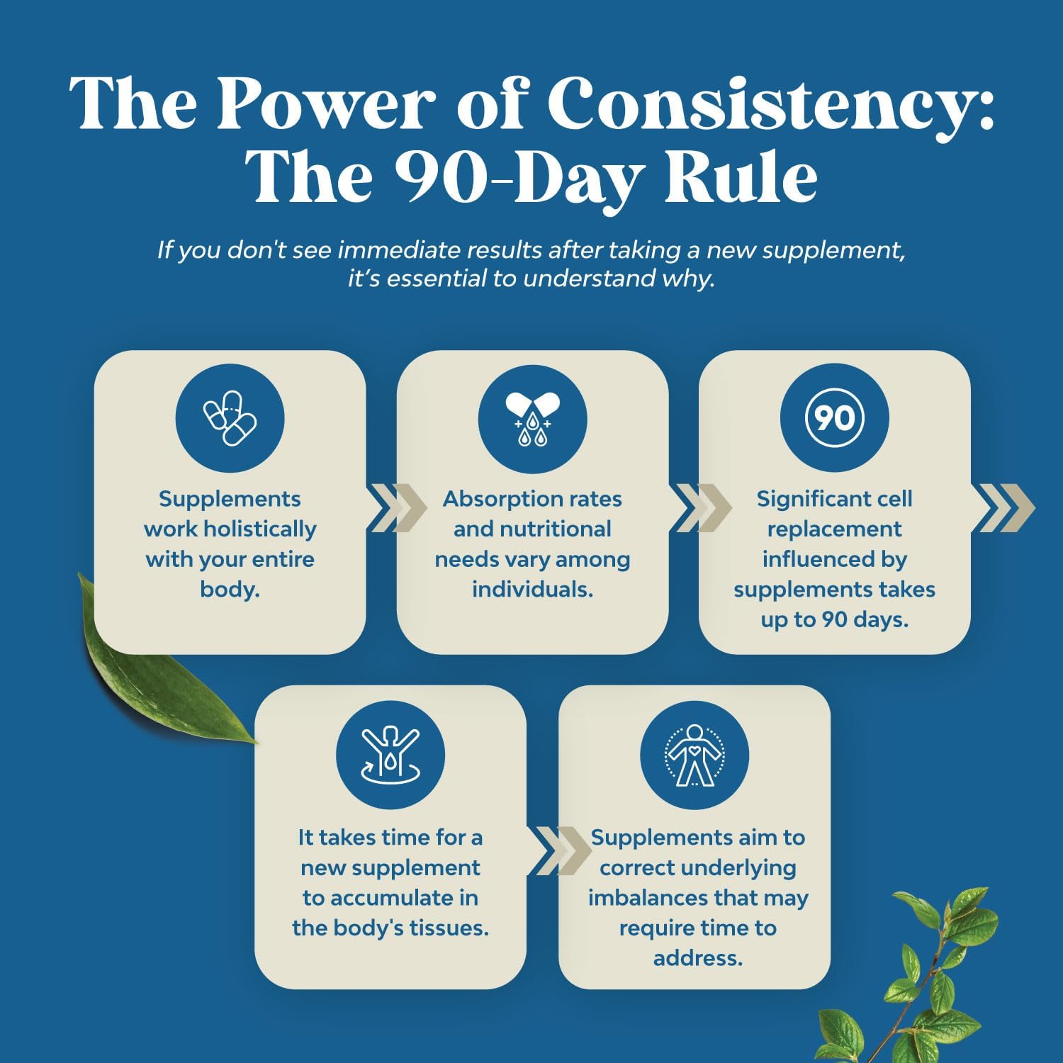 Mullein Leaf Lung Detox Capsules with NAC, Quercetin, and Cordyceps Extracts - Respiratory Support Supplement for Sinus Health and Immunity