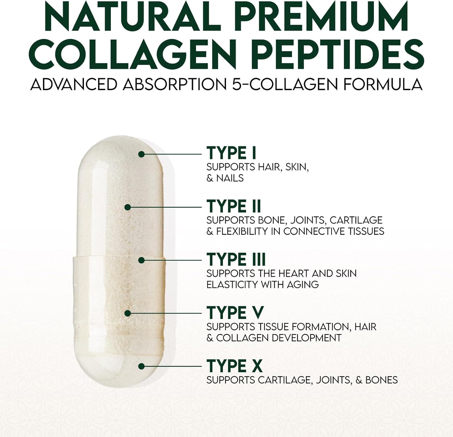 Multi Collagen Peptides Supplement for Hair, Skin, Nails, Joints - 120 Capsules - Hydrolyzed Type I, II, III, V, X - Vital Nutrients for Men & Women