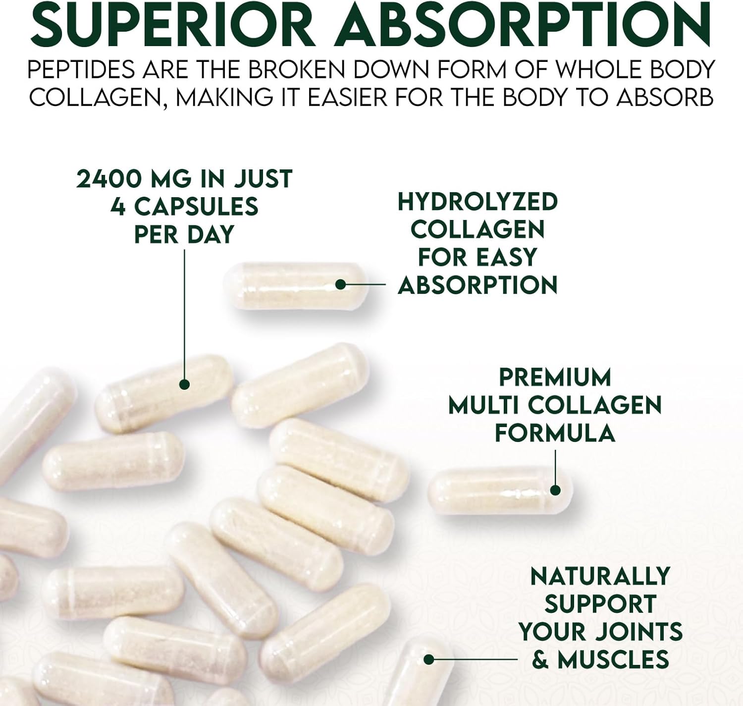 Multi Collagen Peptides Supplement for Hair, Skin, Nails, Joints - 120 Capsules - Hydrolyzed Type I, II, III, V, X - Vital Nutrients for Men & Women