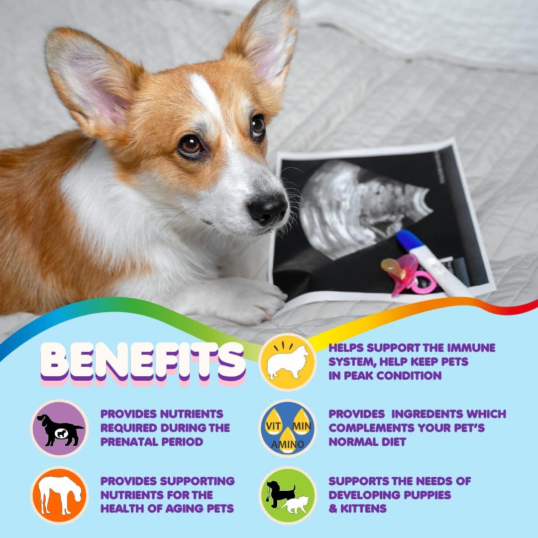 Multivitamin for Pregnant, Nursing, and Newborn Pets - Senior Dog & Puppy Supplement with Folic Acid, Minerals, and Amino Acids by Makondo Pets