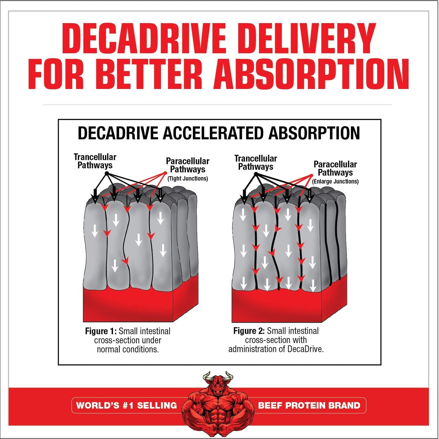 MuscleMeds Amino DECANATE: Full Spectrum Amino Acid Complex for Muscle Recovery - Fruit Punch Flavor, 30 Servings