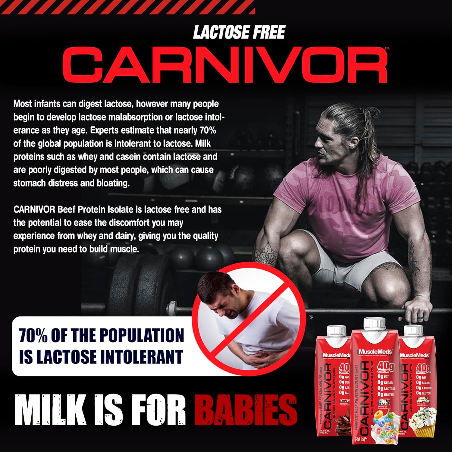 MuscleMeds Carnivor Chocolate RTD Protein Shake, 40g Isolate Protein, Muscle Building & Recovery, Lactose & Sugar Free, Pack of 12