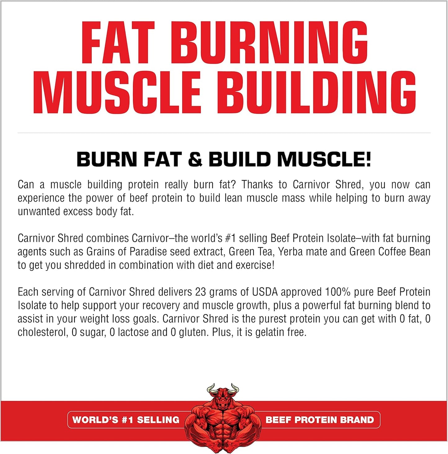 MuscleMeds Carnivor Shred Vanilla Caramel Beef Protein Isolate - Fat Burning Formula, 0 Lactose, Sugar, & Fat, Halal Certified - 4lb, 56 Servings