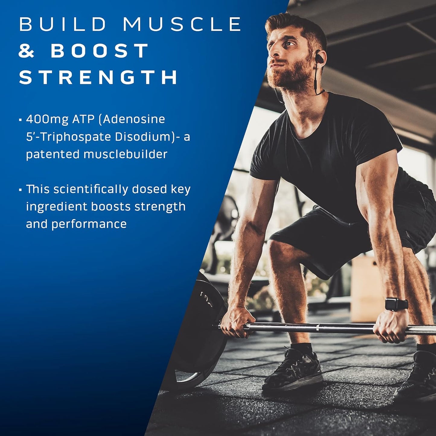 MuscleTech Muscle Builder & Platinum Multivitamin Bundle - Immune Support & Muscle Building Supplement for Men and Women