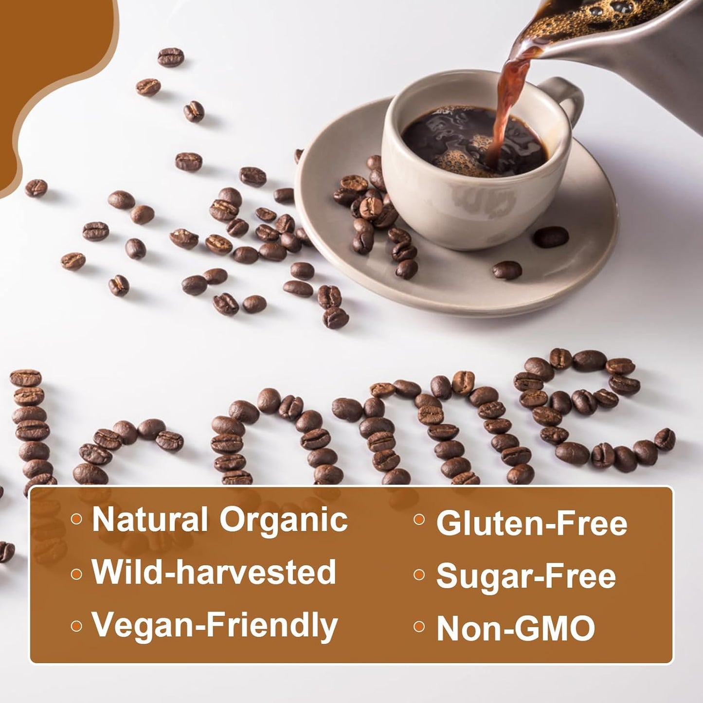 Mushroom Coffee Blend with Lions Mane, Reishi, Chaga, Cordyceps, and Turkey Tail - Instant Powder for Energy, Focus, Brain Boost - Chocolate Flavor