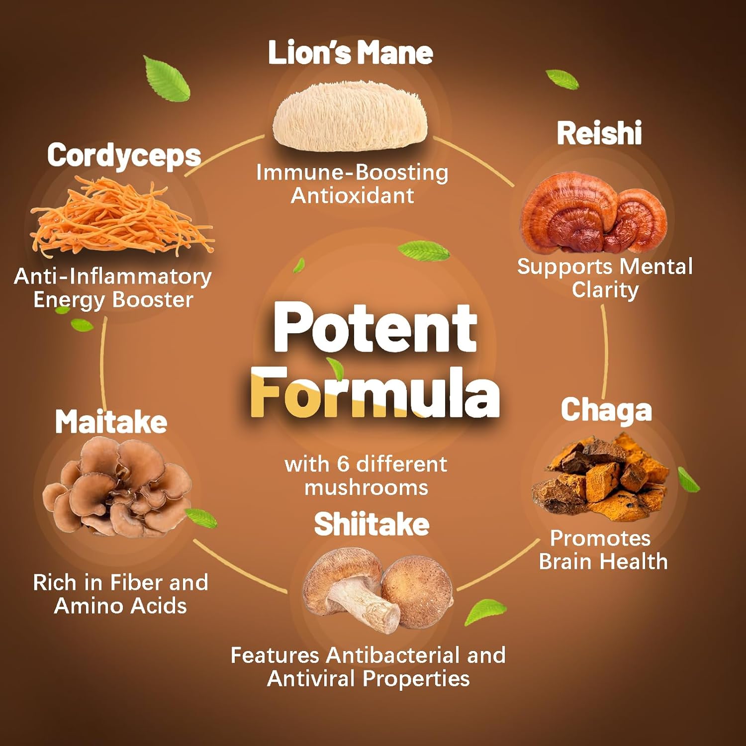 Mushroom Complex Capsules with Lions Mane, Cordyceps, Chaga, Reishi, Turkey Tail, Maitake, Brain Support Supplement for Memory and Focus - 60 Day Supply