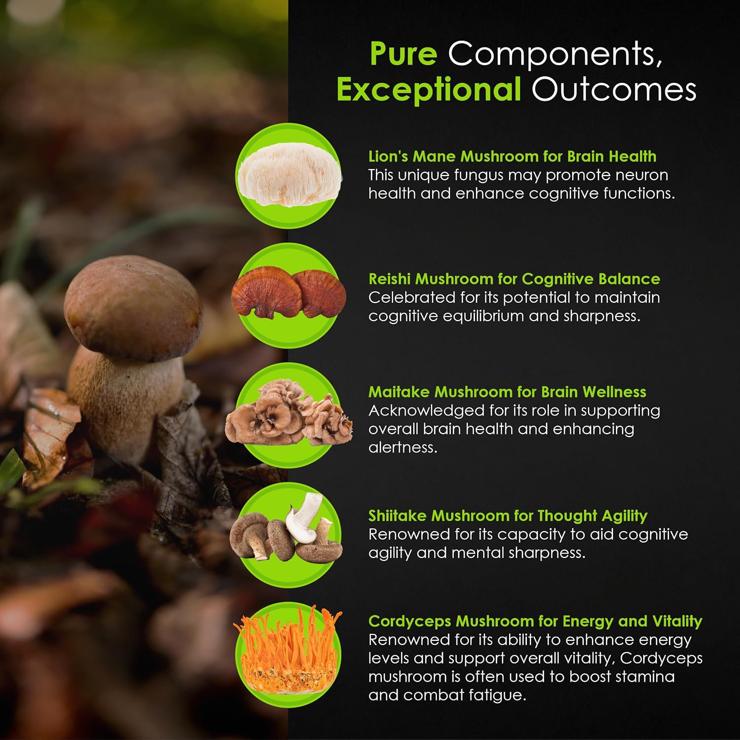 Mushroom Complex Supplement Capsules for Cognitive Improvement, Immune Support, and Energy Boost - 90 Capsules - FitoHerbs Blend of Shiitake, Lions Mane, Cordyceps, Turkey Tail, Maitake, Reishi, and Agaricus Mushrooms