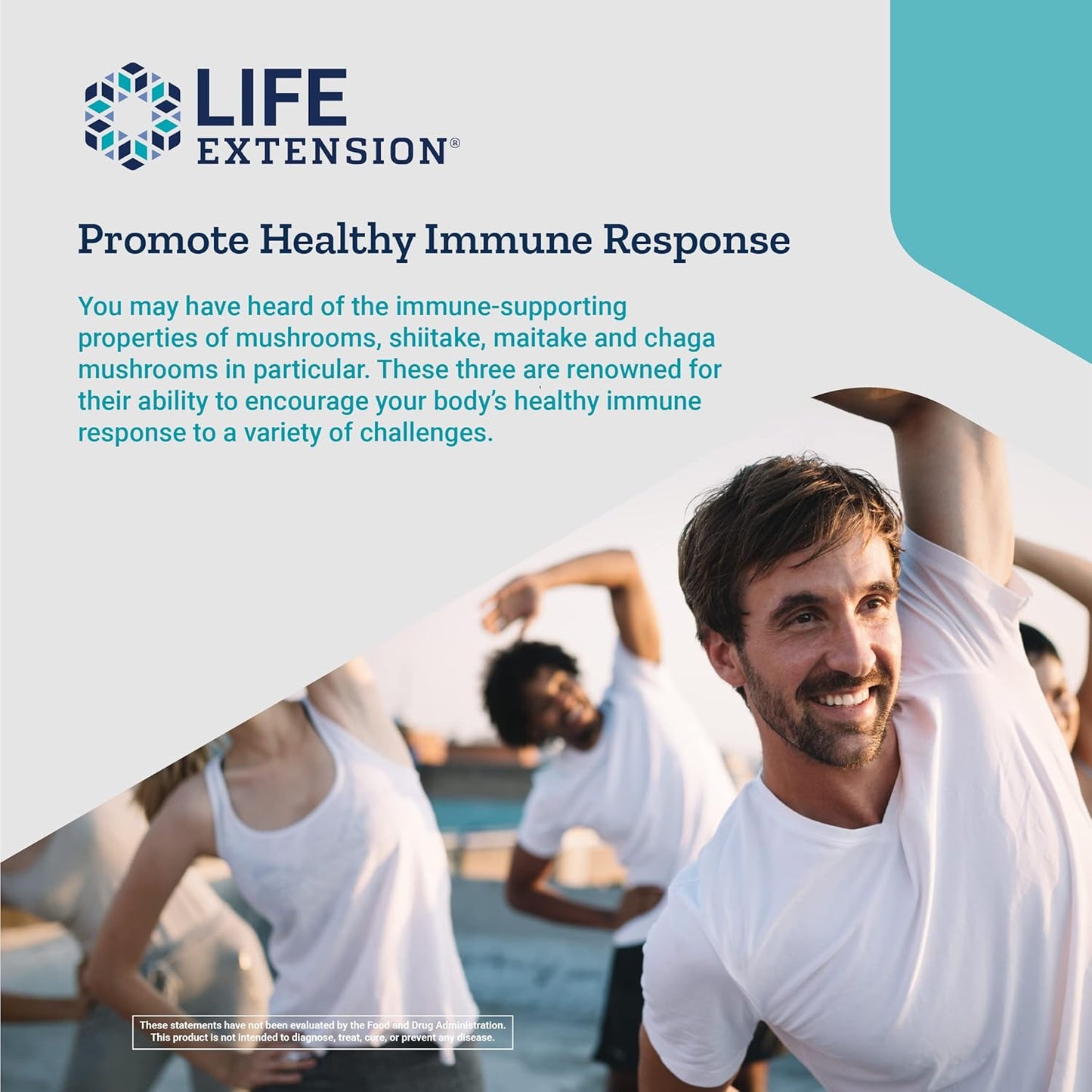 Mushroom Immune Supplement with Beta Glucans for Enhanced Health and Longevity