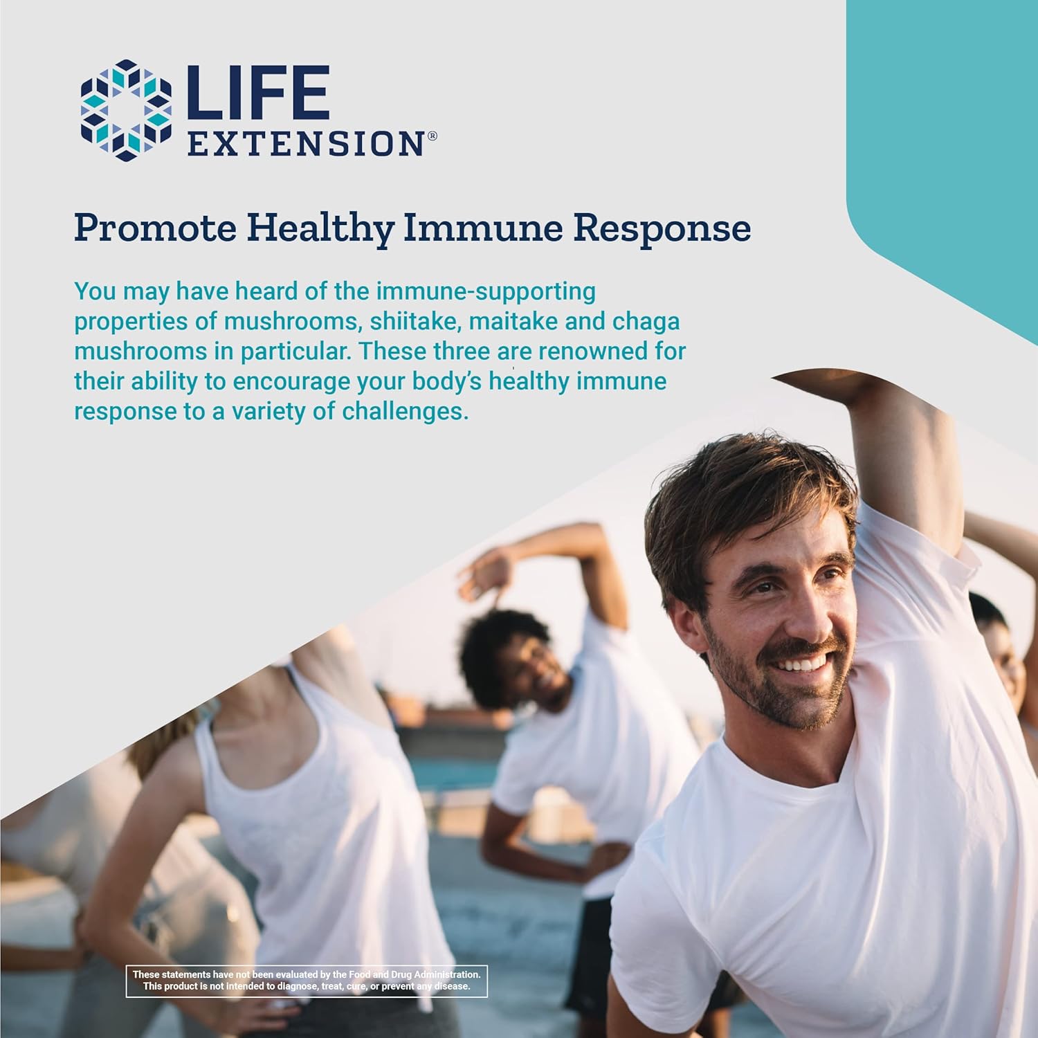 Mushroom Immune Supplement with Beta Glucans for Enhanced Health and Longevity