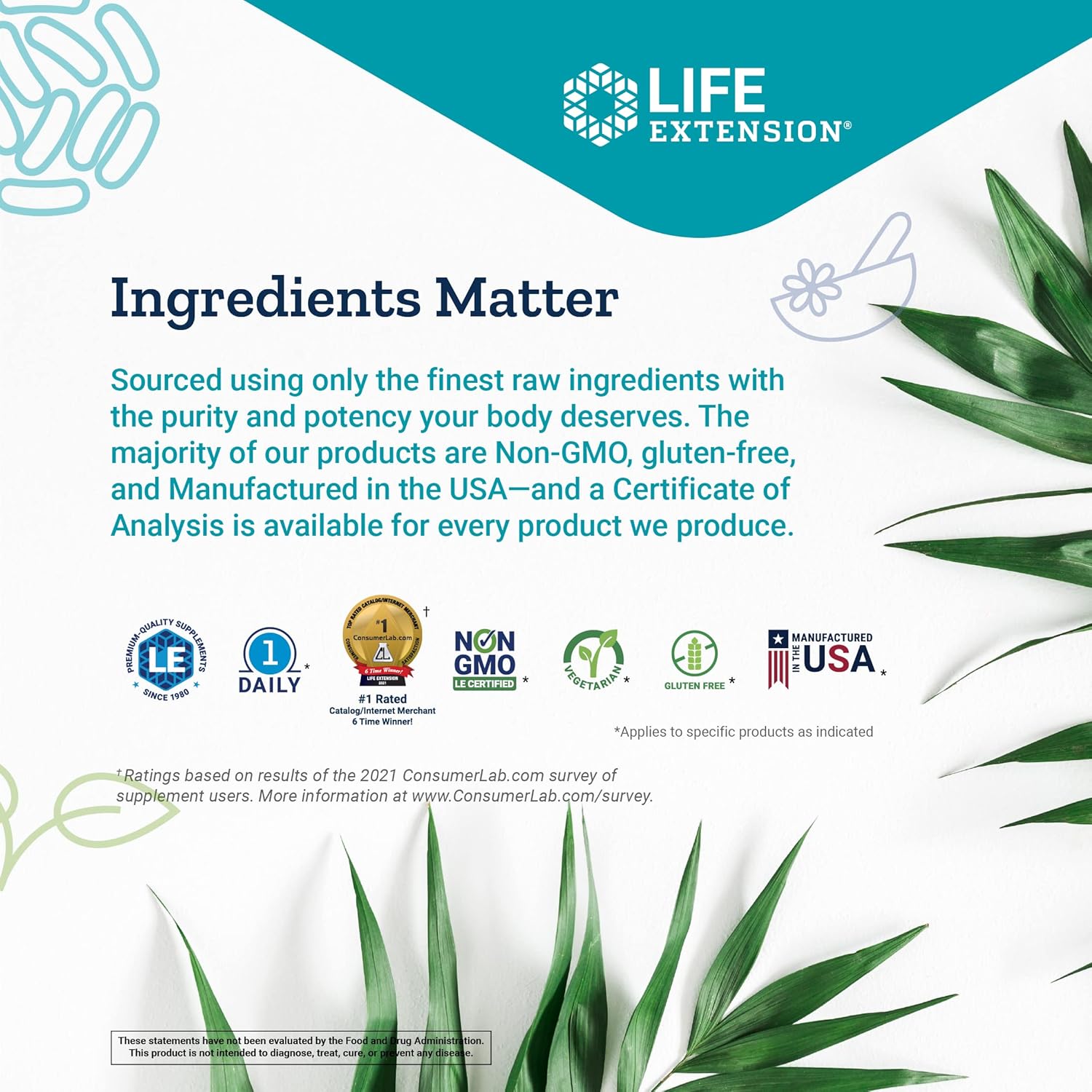 Mushroom Immune Supplement with Beta Glucans for Enhanced Health and Longevity