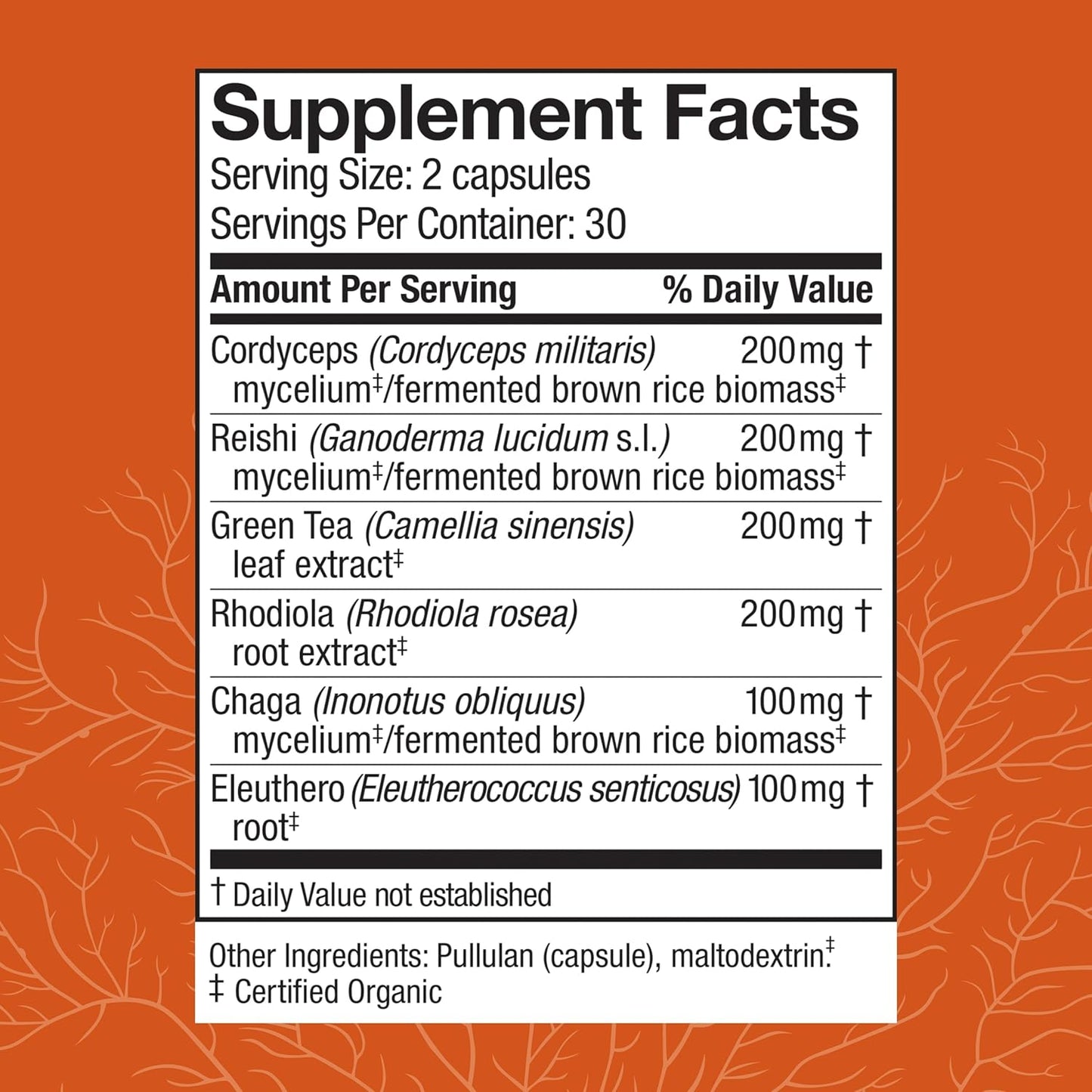 MycoBotanicals Energy Capsules - Herbal Supplement for Energy & Respiratory Support - Green Tea Capsules with Cordyceps, Reishi & Chaga - 60 Capsules