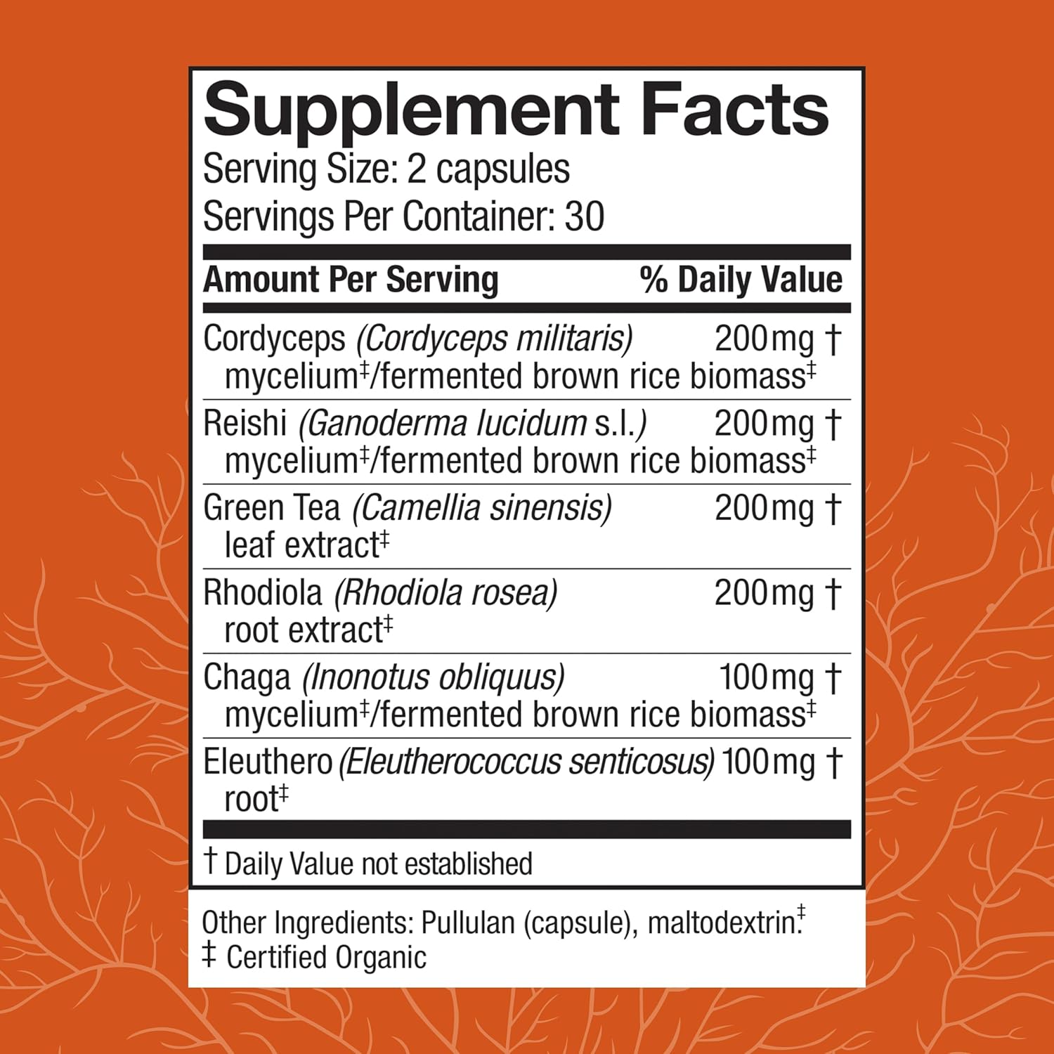 MycoBotanicals Energy Capsules - Herbal Supplement for Energy & Respiratory Support - Green Tea Capsules with Cordyceps, Reishi & Chaga - 60 Capsules