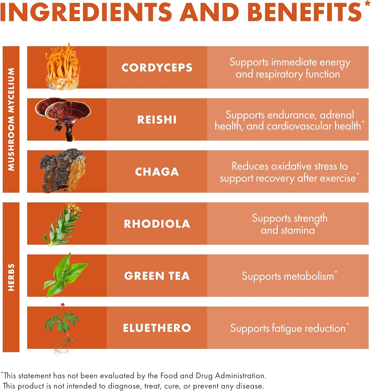 MycoBotanicals Energy Capsules - Herbal Supplement for Energy & Respiratory Support - Green Tea Capsules with Cordyceps, Reishi & Chaga - 60 Capsules