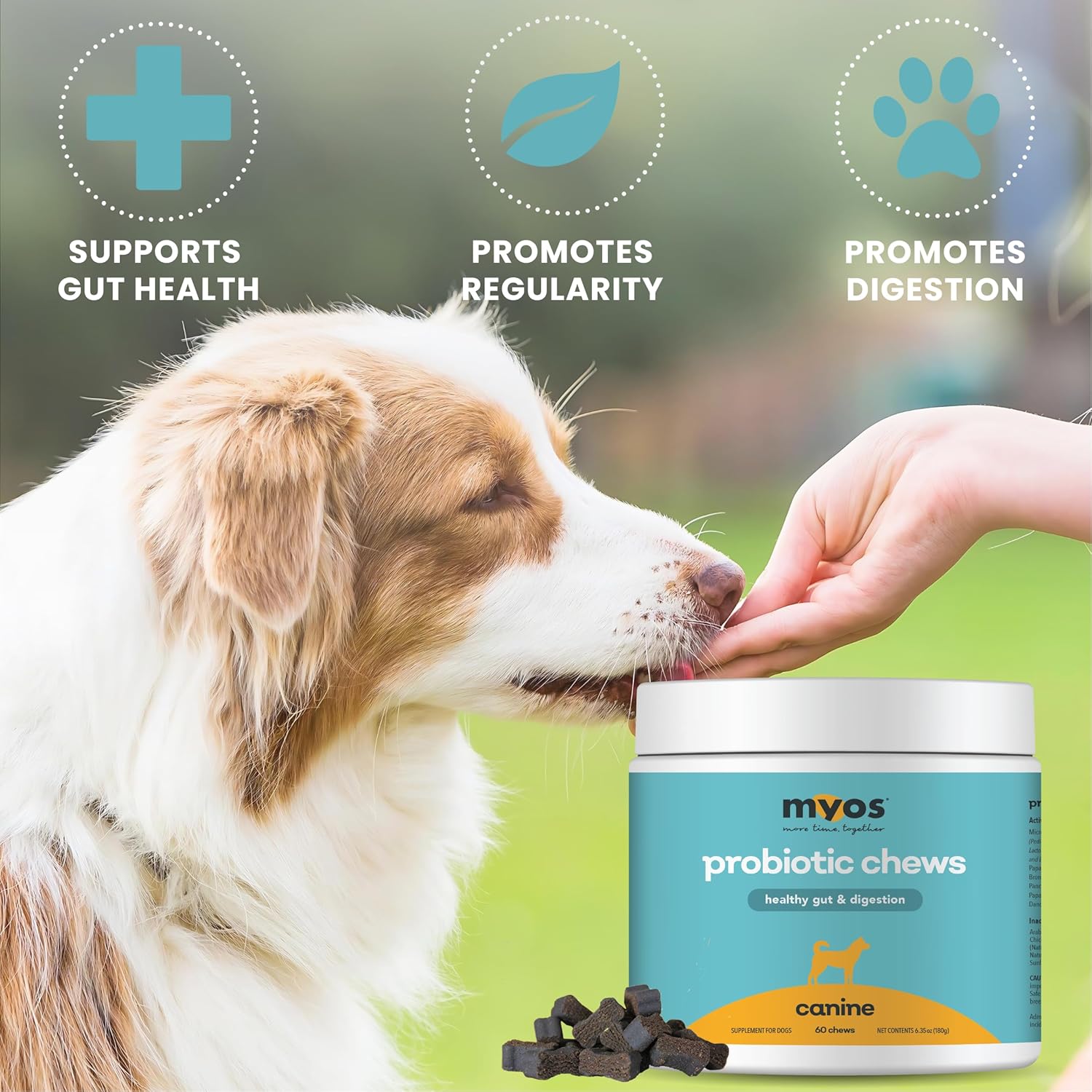 MYOS Probiotic Chew for Dogs - Daily Gut Health Support and Nutrient Absorption - All-in-One Supplement for Healthy Stool
