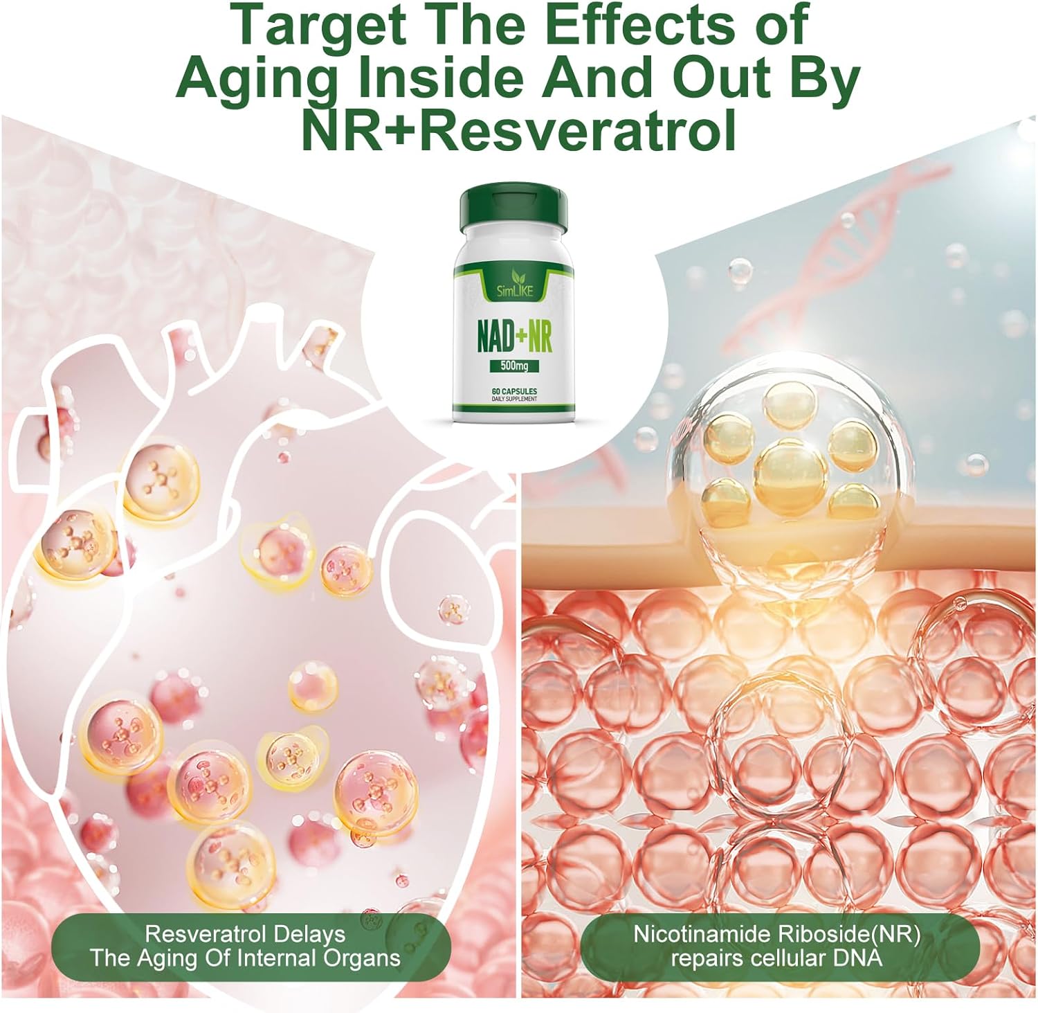 NAD+ Booster with Resveratrol for Healthy Aging and Energy - 30 Servings