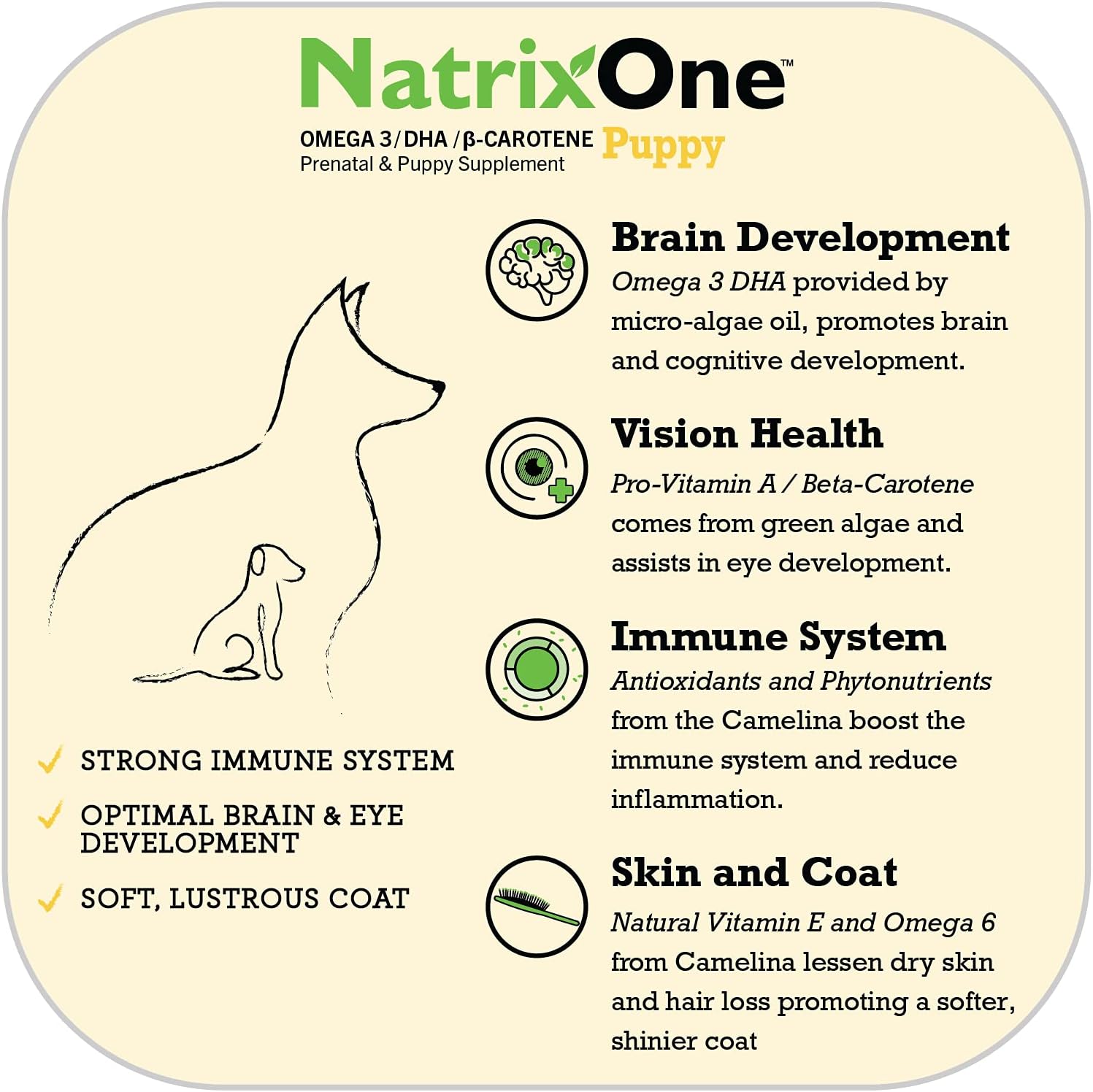 NatrixOne Omega 3 Puppy Supplement 8 oz - Boosts Immune System & Cognitive Development - All-Natural Skin & Coat Support