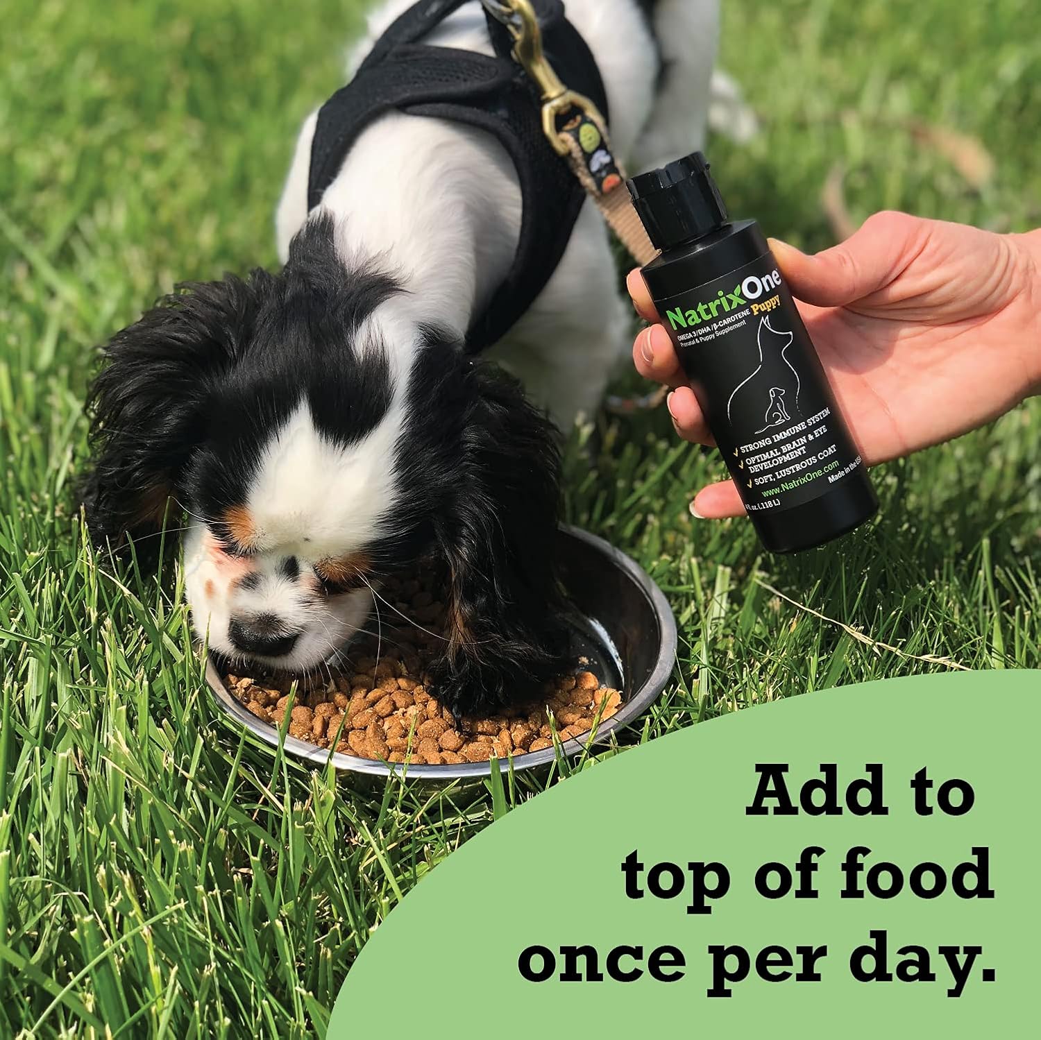 NatrixOne Omega 3 Puppy Supplement 8 oz - Boosts Immune System & Cognitive Development - All-Natural Skin & Coat Support