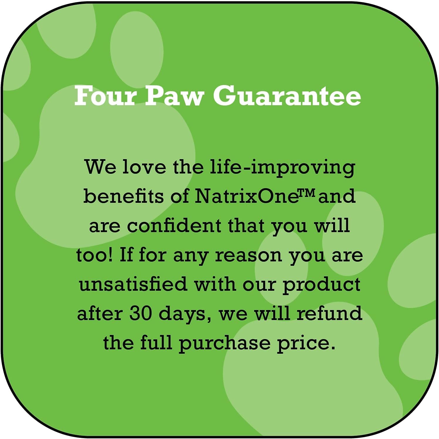 NatrixOne Omega 3 Skin and Coat Supplement for Dogs - 16 oz All-Natural Oil - Supports Heart, Joints, Anti-inflammatory - Camelina Oil