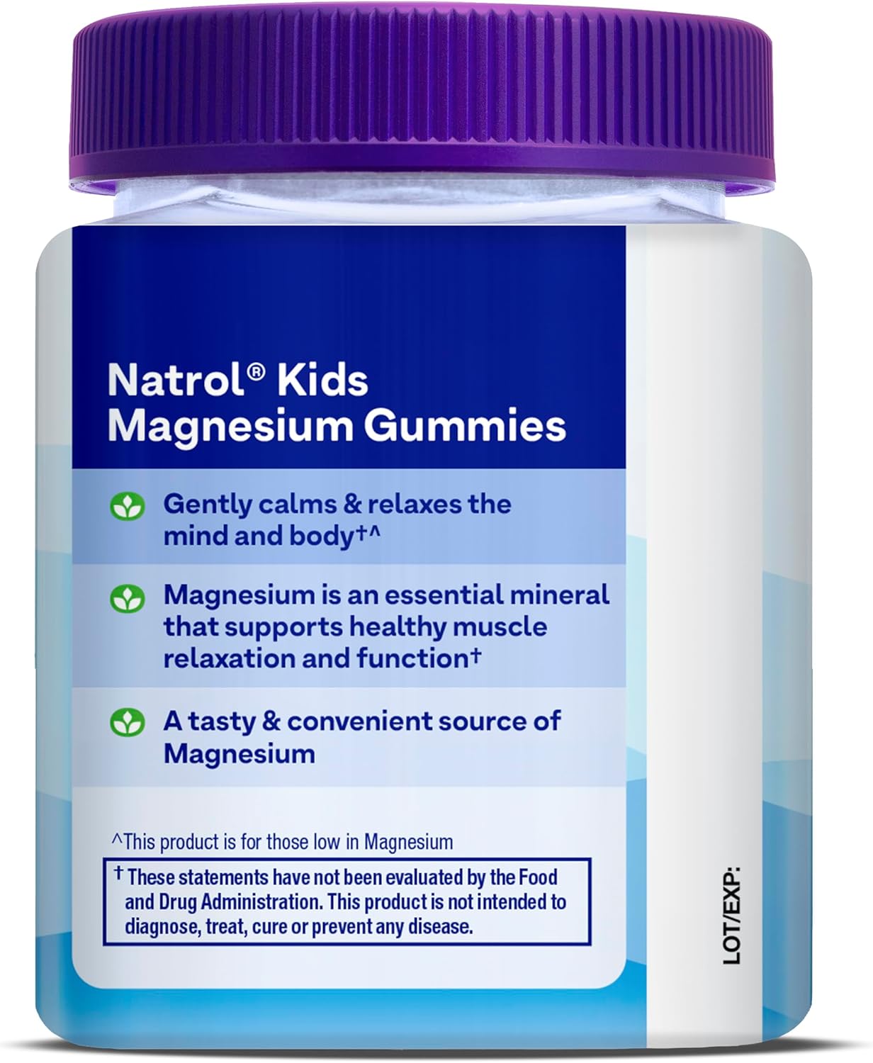 Natrol Kids Magnesium Citrate Gummies - Calm & Relax Little Minds and Bodies, Support Muscle Function - 30 Razzilicious Gummies