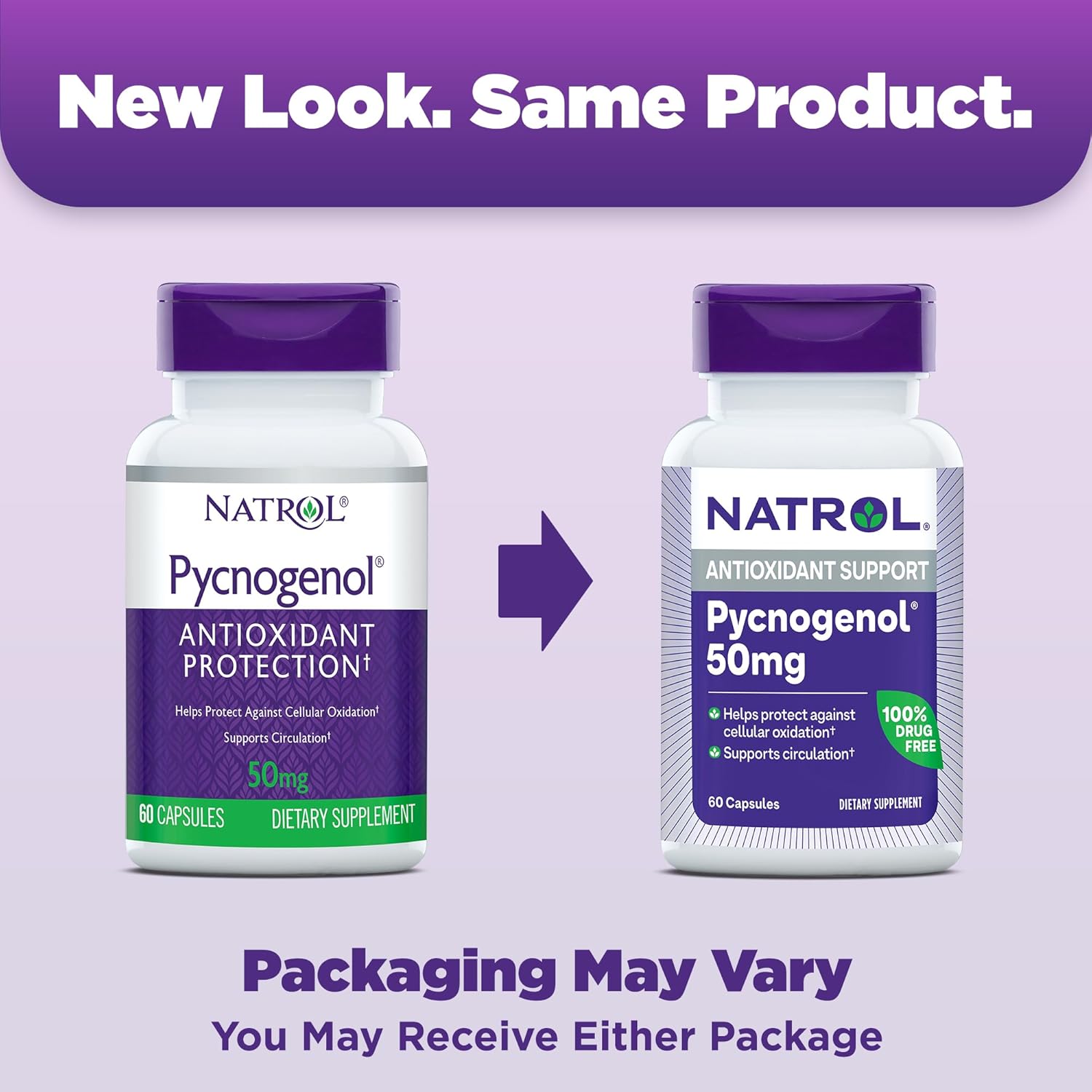 Natrol Pycnogenol Capsules - 50mg Antioxidant Protection from European Maritime Pine Bark Extract - 60 Count x 12 - Supports Circulation & Cellular Health