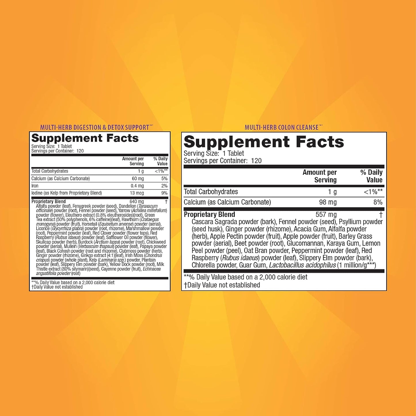 Natural 2-Part Total Body Detox Cleanse - Supports Digestion, Colon Health & Regularity - Multi-Herb & Multi-Fiber Formula - 240 Tablets