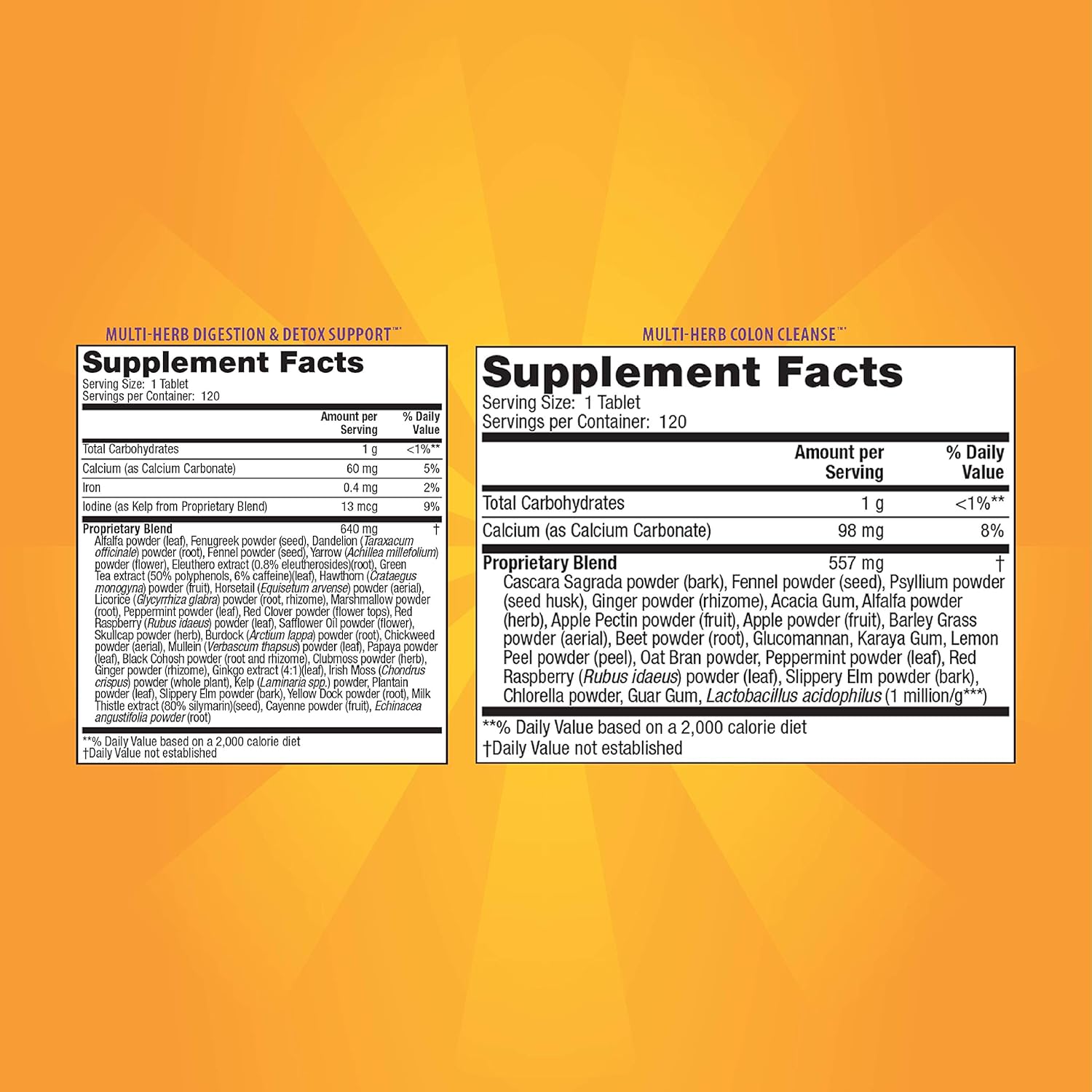 Natural 2-Part Total Body Detox Cleanse - Supports Digestion, Colon Health & Regularity - Multi-Herb & Multi-Fiber Formula - 240 Tablets