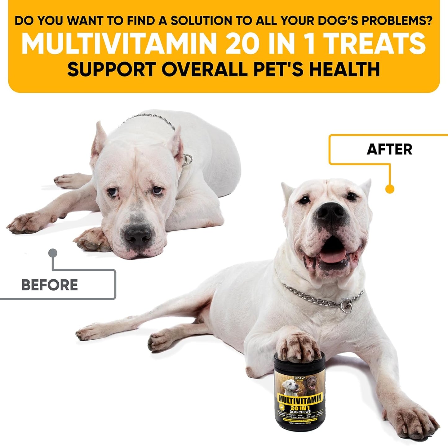 Natural 20-in-1 Dog Multivitamin Supplements for Immunity, Digestion, Joint & Heart Health - With Biotin, Msm, Cranberry, Glucosamine - 180 Chews