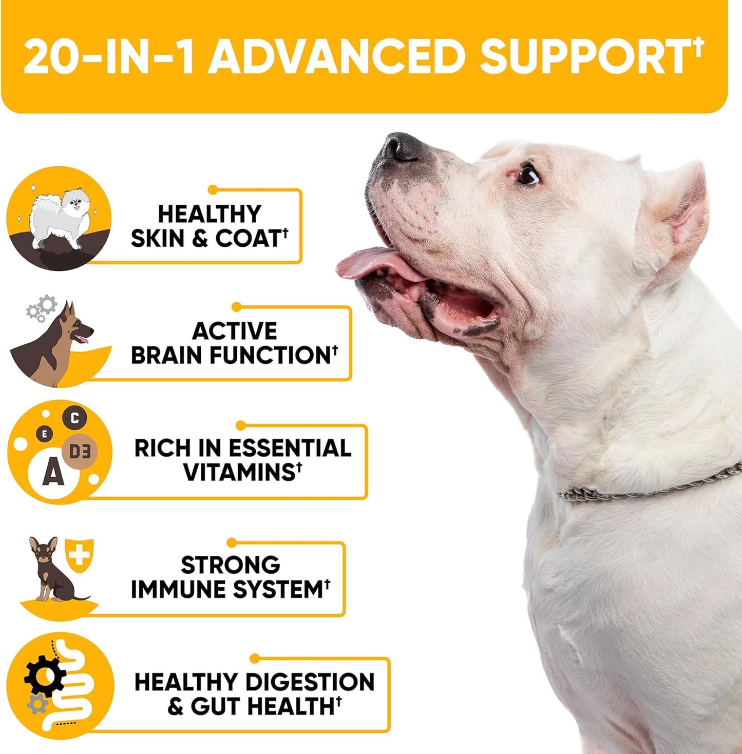 Natural 20-in-1 Dog Multivitamin Supplements for Immunity, Digestion, Joint & Heart Health - With Biotin, Msm, Cranberry, Glucosamine - 180 Chews