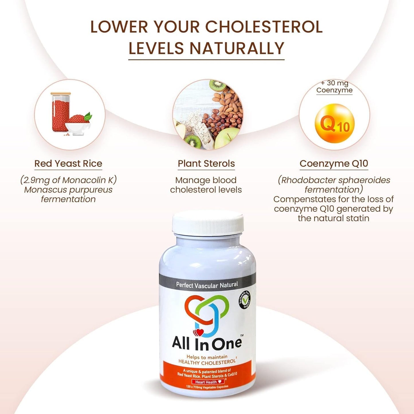 Natural All-in-One Heart Health Supplement - Supports Healthy Blood Circulation & Lowers Cholesterol - Red Yeast Rice, CoQ10, Plant Sterols - 120 Capsules