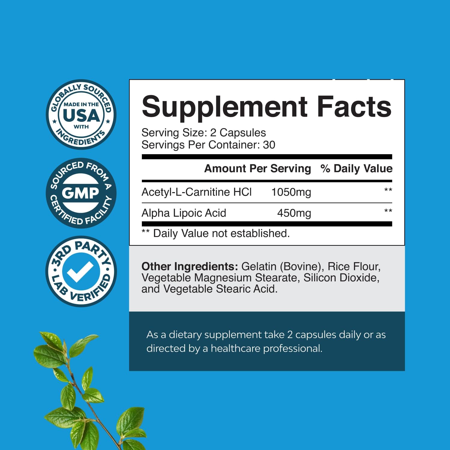 Natural Alpha Lipoic Acid and Acetyl L-Carnitine Supplement for Memory and Energy - ALA ALC Amino Acids - 60 Capsules