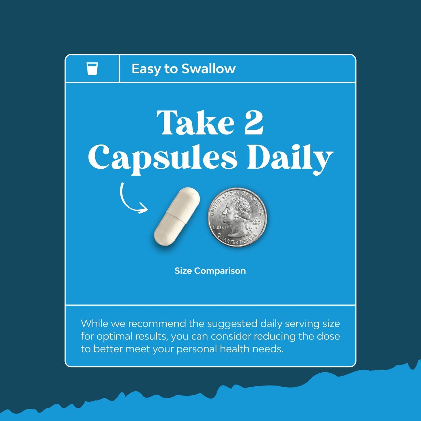 Natural Alpha Lipoic Acid and Acetyl L-Carnitine Supplement for Memory and Energy - ALA ALC Amino Acids - 60 Capsules