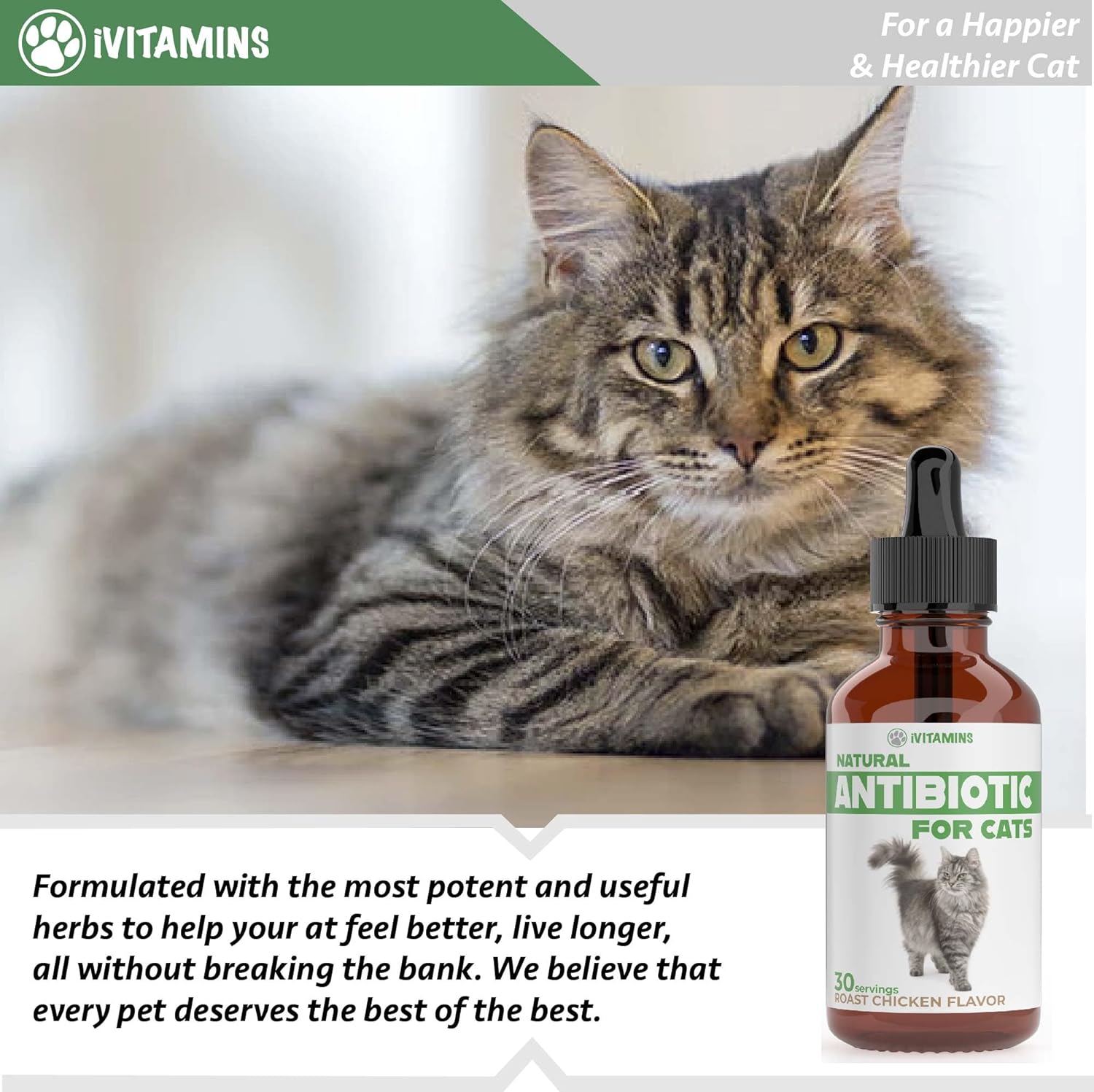 Natural Antibiotic Cat Supplements for Immune Support - 2 Pack, 60 Servings