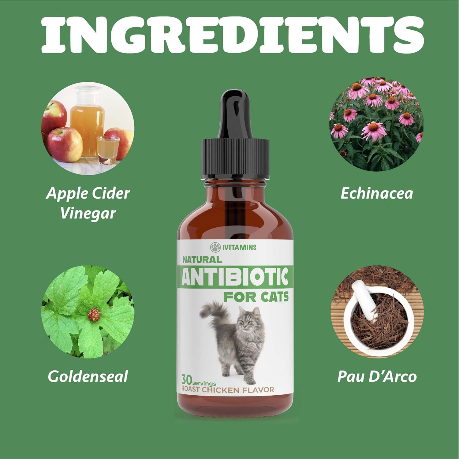 Natural Antibiotic Cat Supplements for Immune Support - 2 Pack, 60 Servings