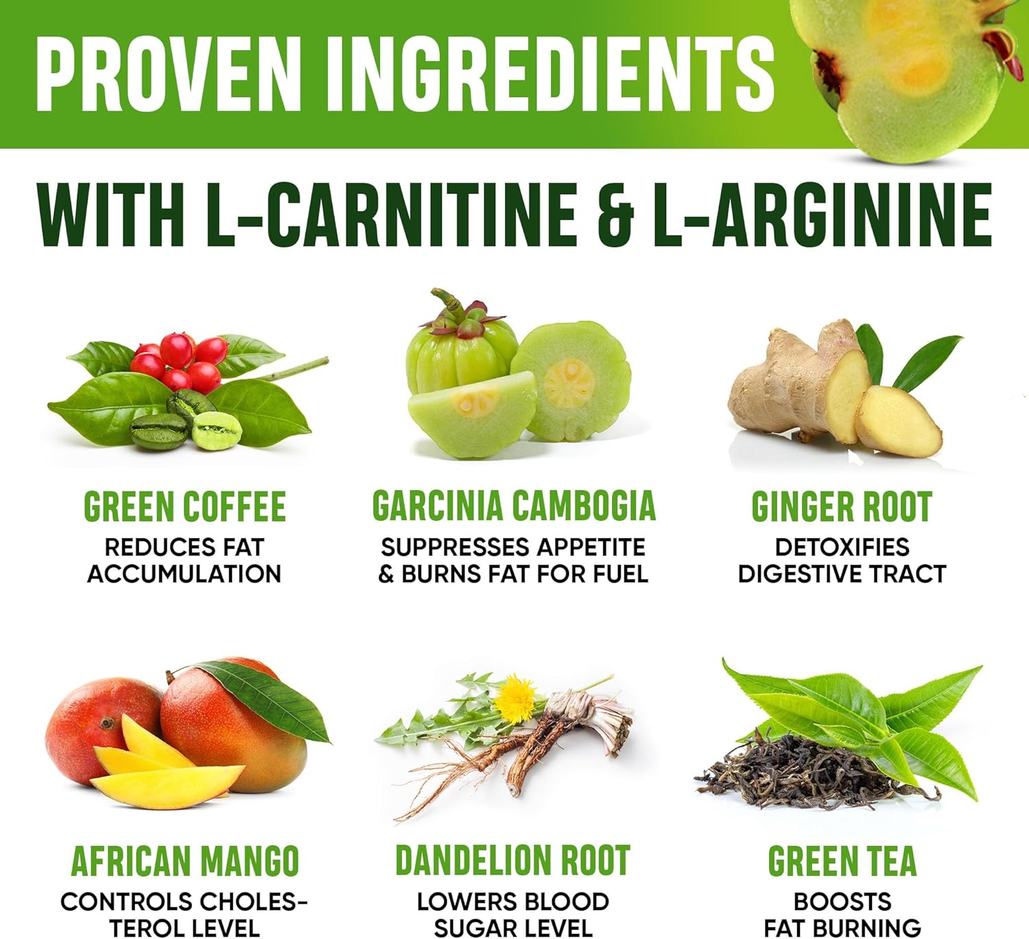 Natural Appetite Suppressant Diet Drops for Women & Men - USA Made Metabolism Booster with Garcinia Cambogia - 2 Fl Oz