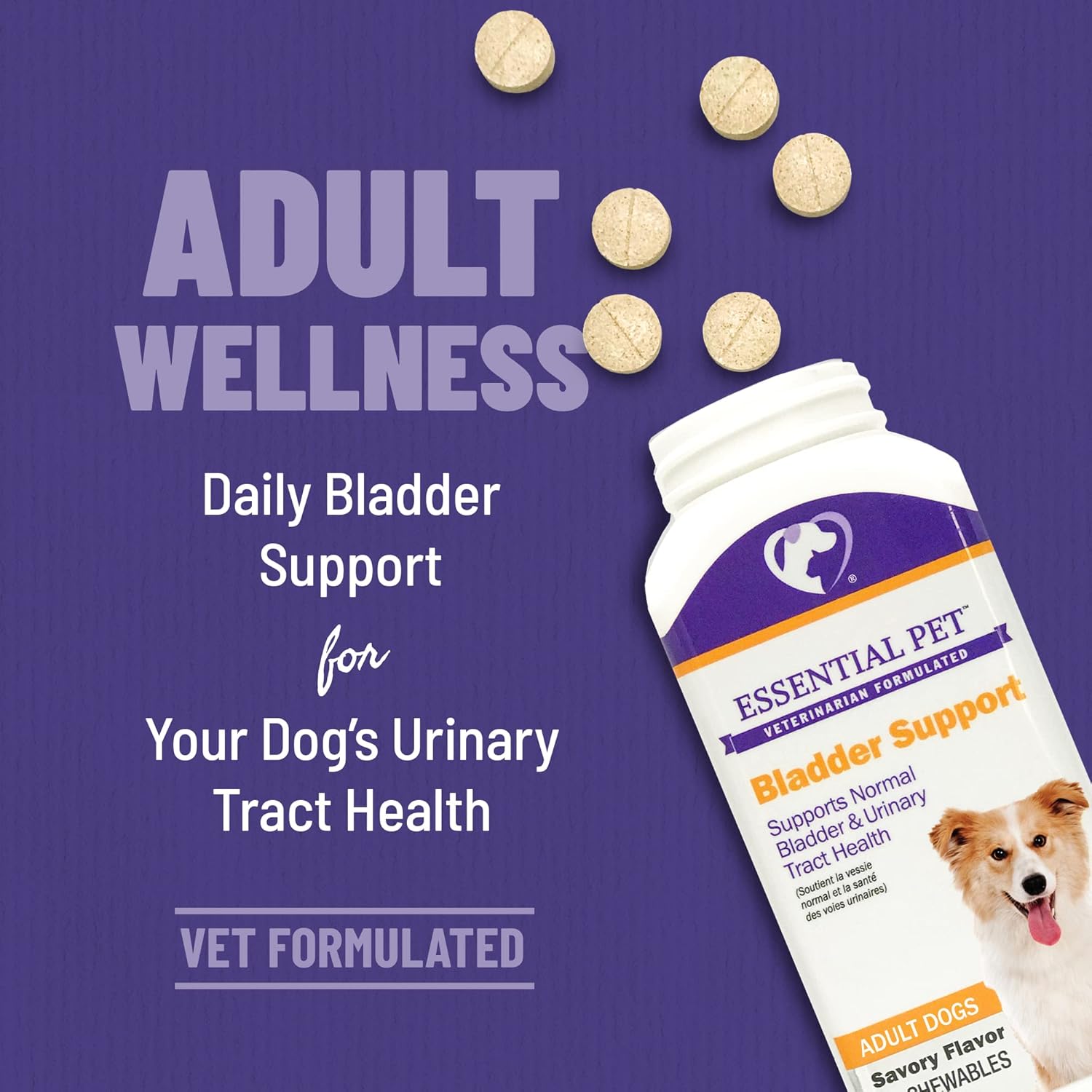 Natural Bladder Support for Dogs - Essential Pet Products for Healthy Urinary Tract