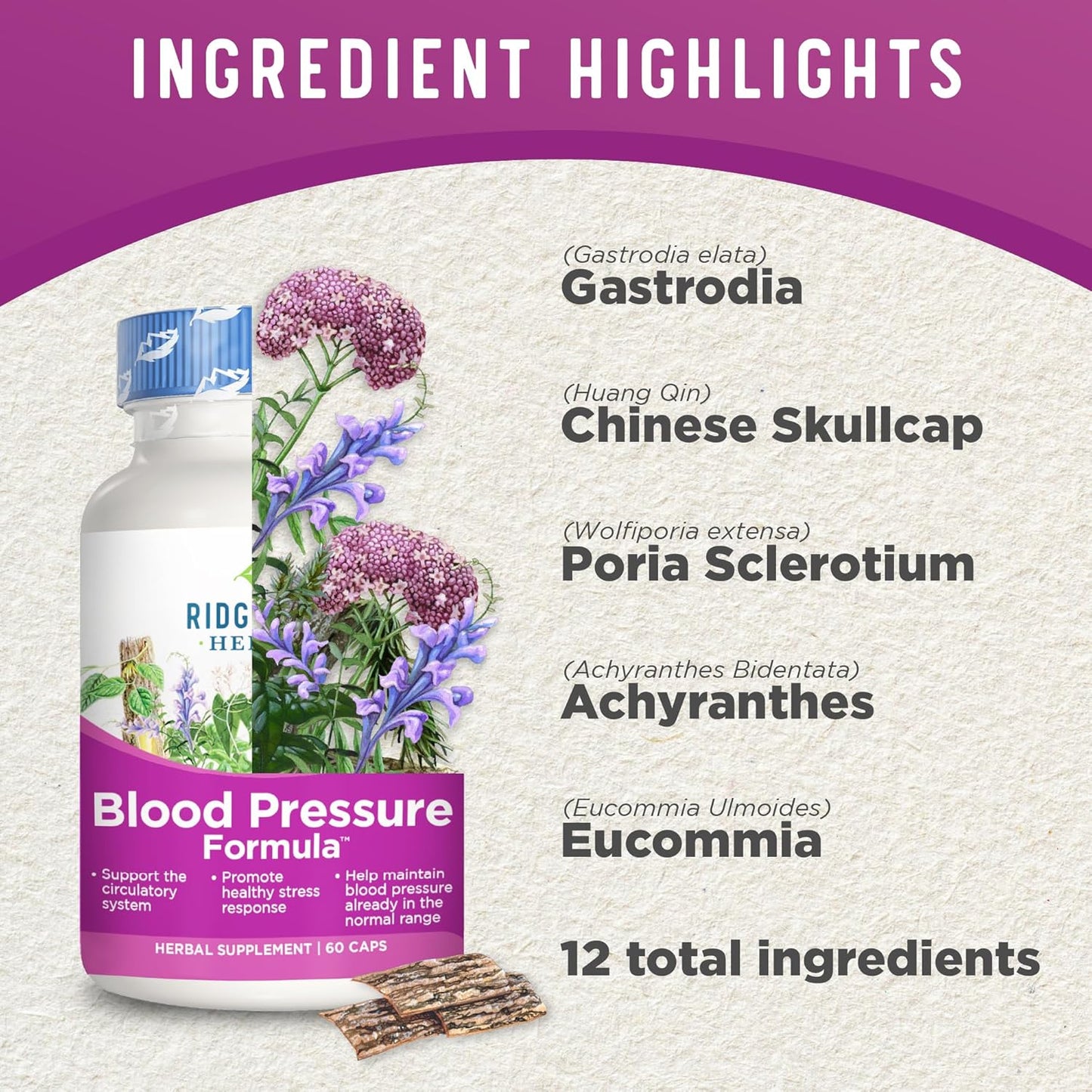 Natural Blood Pressure Support Supplement with 12 Herbs including Poria Mushroom, Gastrodia, Gardenia - Promotes Heart and Circulation Health - 60 Capsules