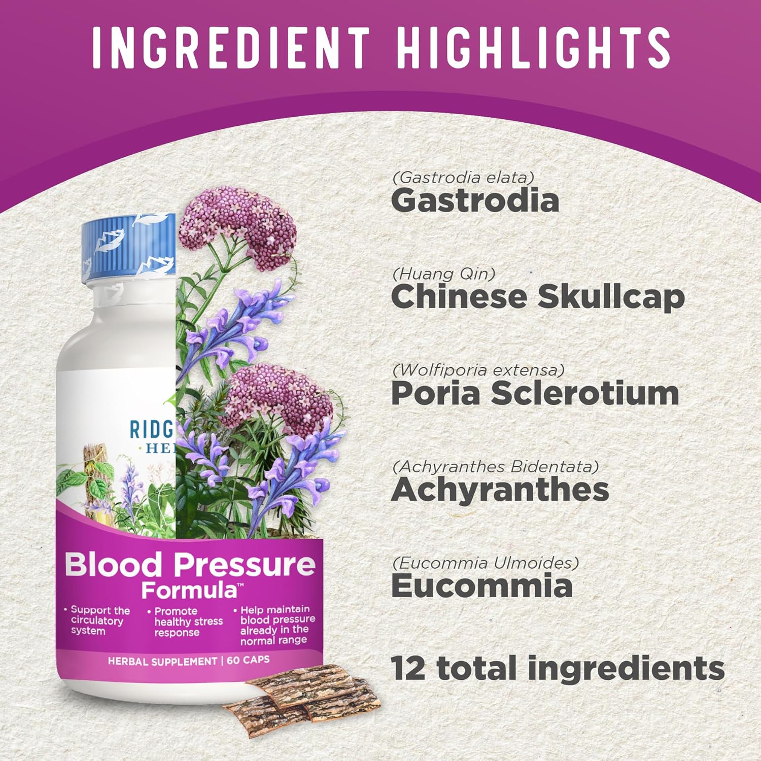 Natural Blood Pressure Support Supplement with 12 Herbs including Poria Mushroom, Gastrodia, Gardenia - Promotes Heart and Circulation Health - 60 Capsules
